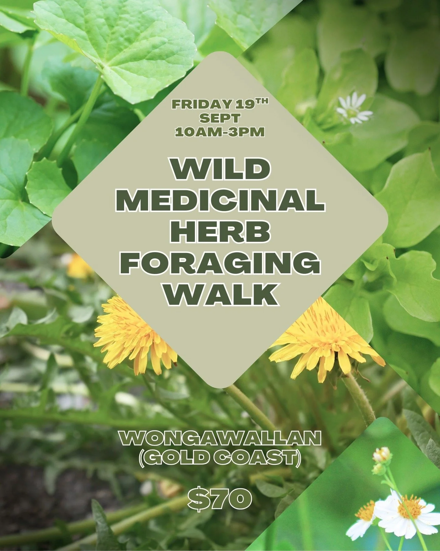 🌿 WILD MEDICINAL PLANT FORAGING WALK 🌿
Come and learn how to identify, harvest and work with the wild weedy medicine growing all around you!!

We will go for a walk and learn important identification tips for an array of common subtropical weeds (i