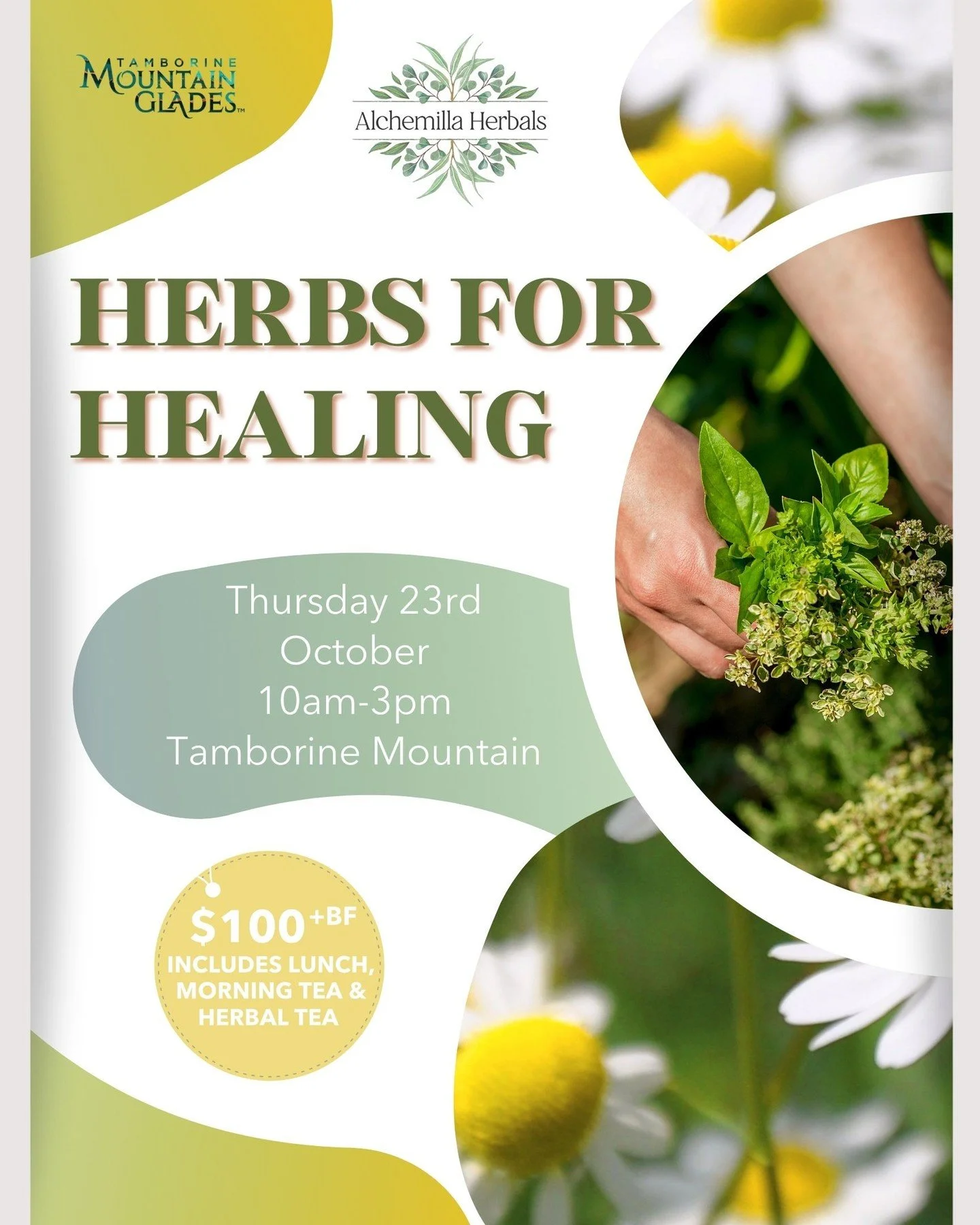 🌻 HERBS FOR HEALING 🌻 Herbal medicine workshop on Gold Coast Hinterlands.

Learn about the healing traditions of plants and the wisdom of the Earth in this 5 hour introductory workshop on how to bring herbs into your daily life for vitality and to 