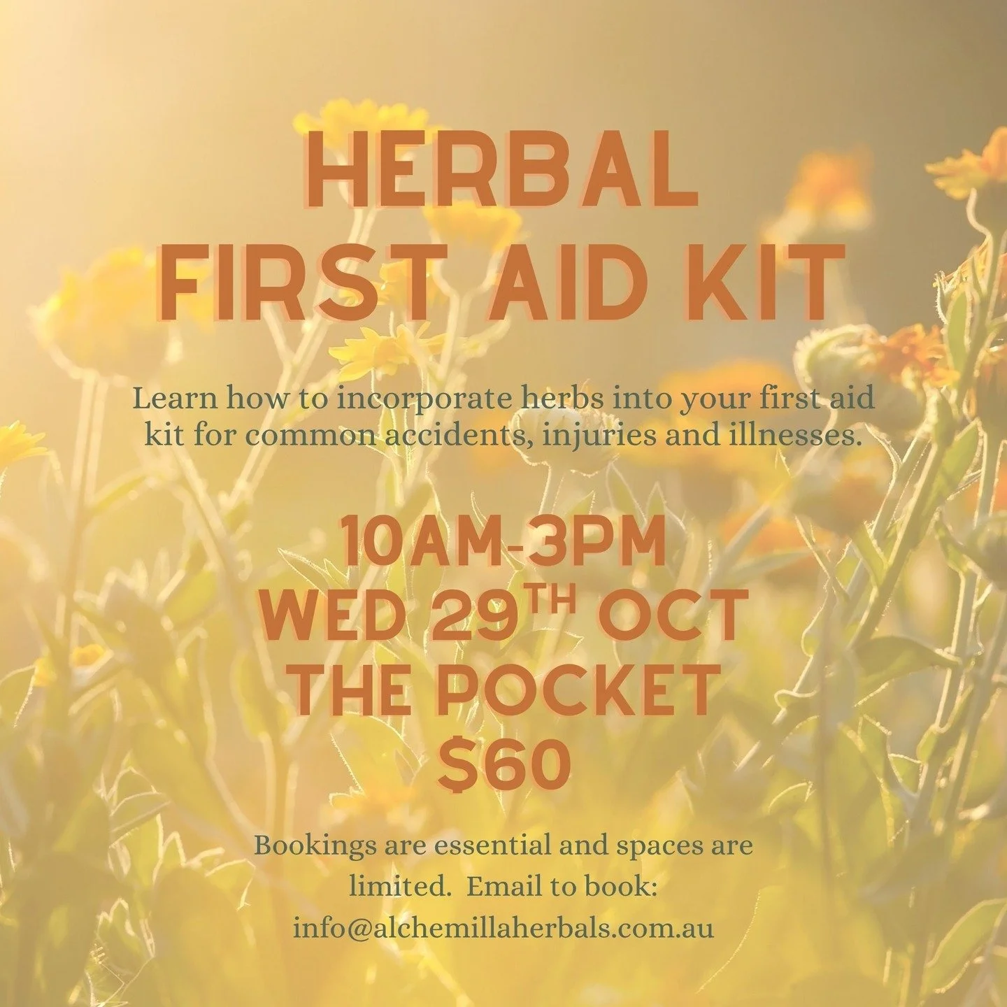Join us as we explore how you can incorporate herbs into your first aid kit.

Wednesday 29th October
10am-3pm
$60
The Pocket, NSW
(15 mins from Mullum, 30 mins from Tweed)

Bring lunch to share or BYO lunch
Bookings are essential and spaces are limit
