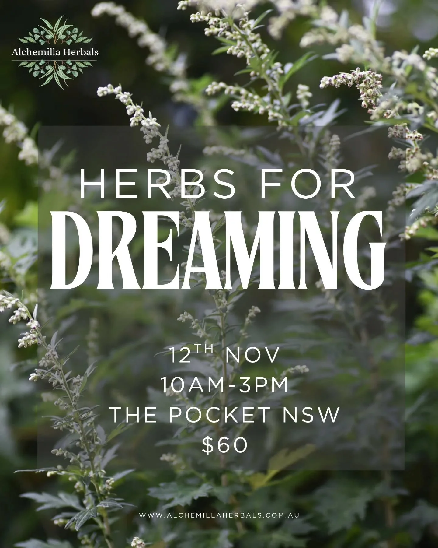 Join us for a five-hour immersion into herbal allies for the dreaming.  How to work with herbs with intention to support lucid dreaming, clear dream recall, prophetic dreams, visionary dreams. There will also be exploration into how to be conscious w