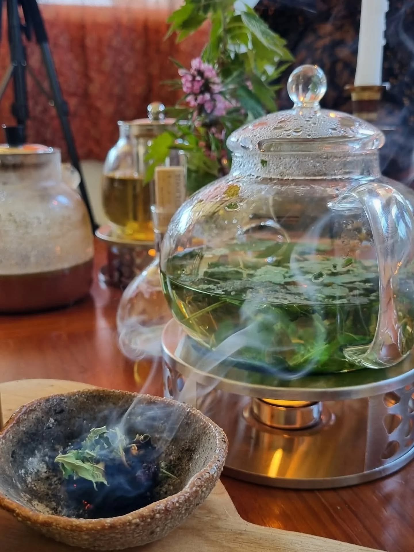 🌼 Meandering Medicine- enrolments close tomorrow! 🌼 

Join us for a year-long herbal medicine course, learning one plant at a time in a deep and embodied way.  This course facilitates deep connection with 6 powerful herbs, while teaching practical 