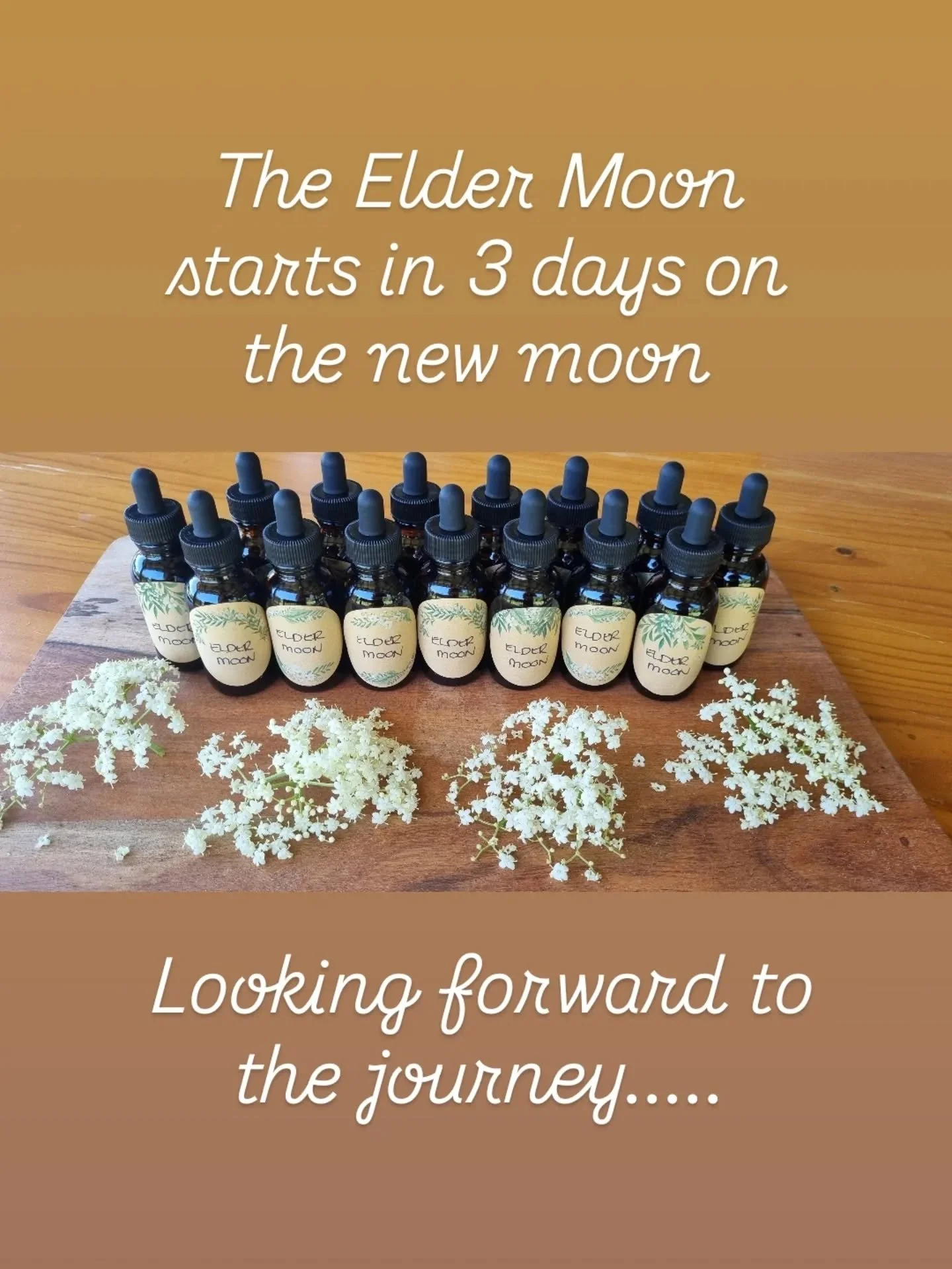 The Elder Moon is approaching and the cyclic Meandering Medicine course begins again and yet somehow ends at the same time,  much like the Ouroboros. Elder stands as a sentinel,  as the gatekeeper to the underworld,  the fae realms,  the dreaming.  T