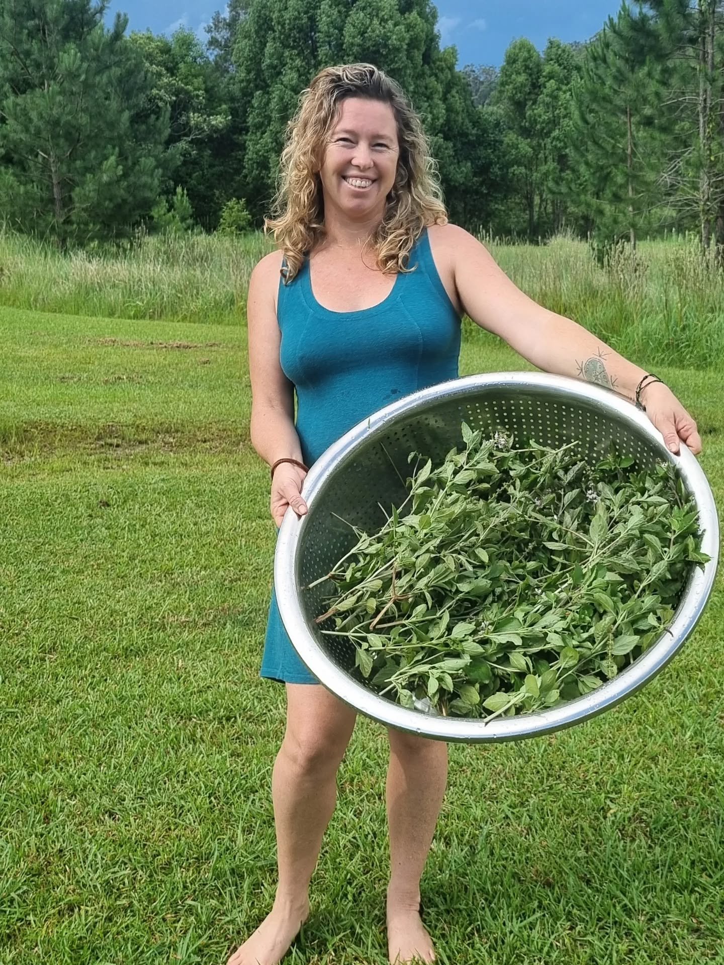 It's all about having the right tools for the job!  I recently stopped at an Indian catering supplies warehouse and was stoked to find this massive stainless steel colander which is great for collecting a harvest into and then cleaning the harvest ri
