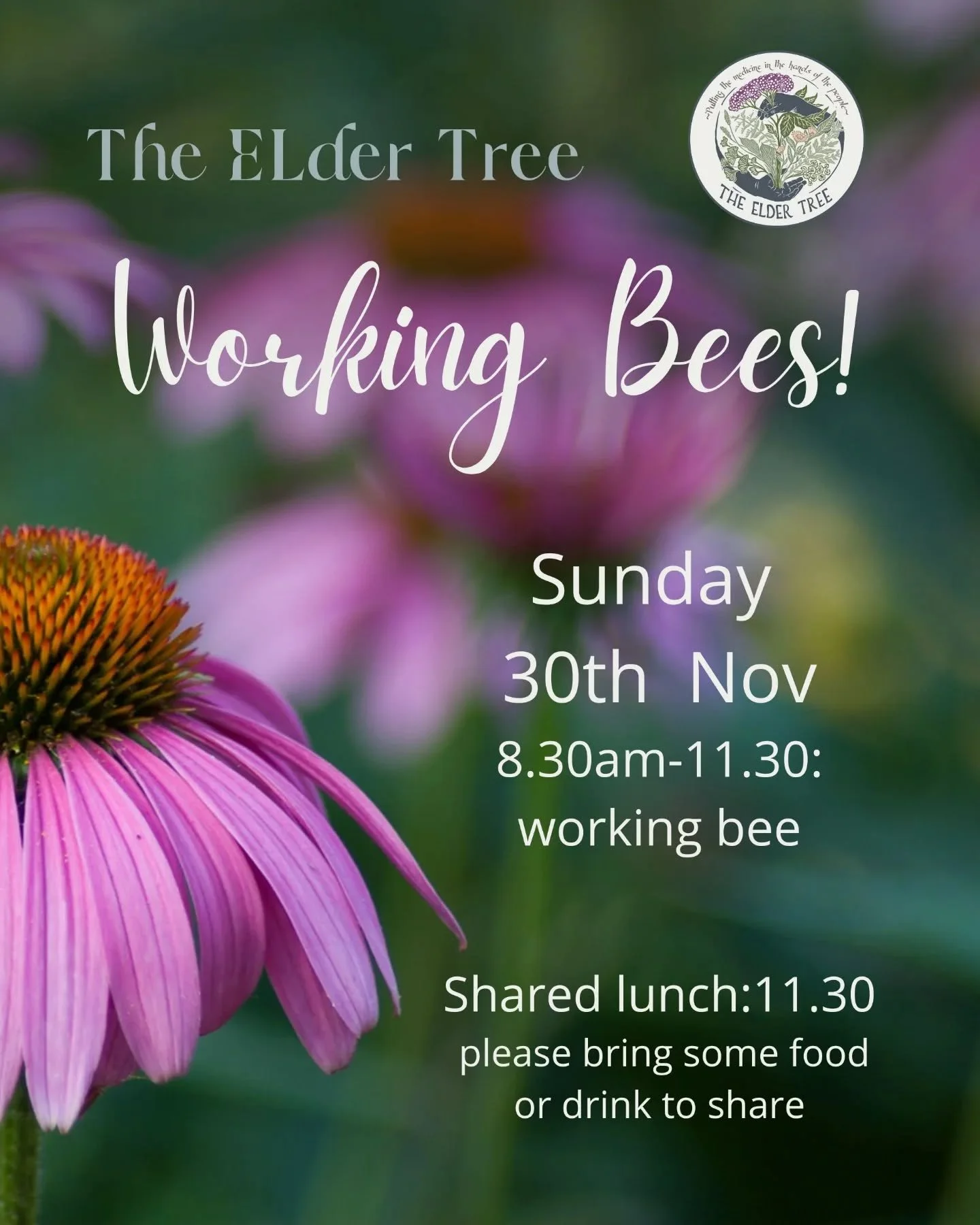 🌳 NEXT WORKING BEE TOMORROW 🌳
Sunday 30th Nov
8.30am-11.30am
Bring some food or drink to share at lunch
Please RSVP

Come along and get your hands in the Earth and help us make an amazing educational medicine garden for the community!
We are focusi
