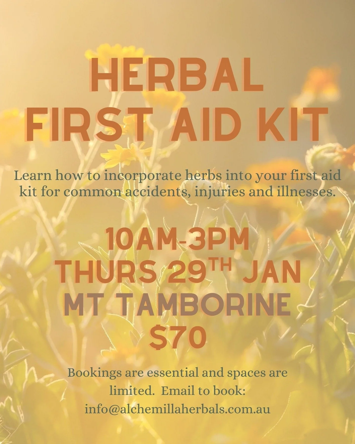 🌿Herbal First Aid Kit Workshop 🌿
Join us as we explore how you can incorporate fresh potent herbs into your first aid kit.

Thursday 29th Jan
10am-3pm
$70
Wongawallan/Mt Tamborine
(Gold Coast Hinterlands)

Bookings are essential and spaces are limi