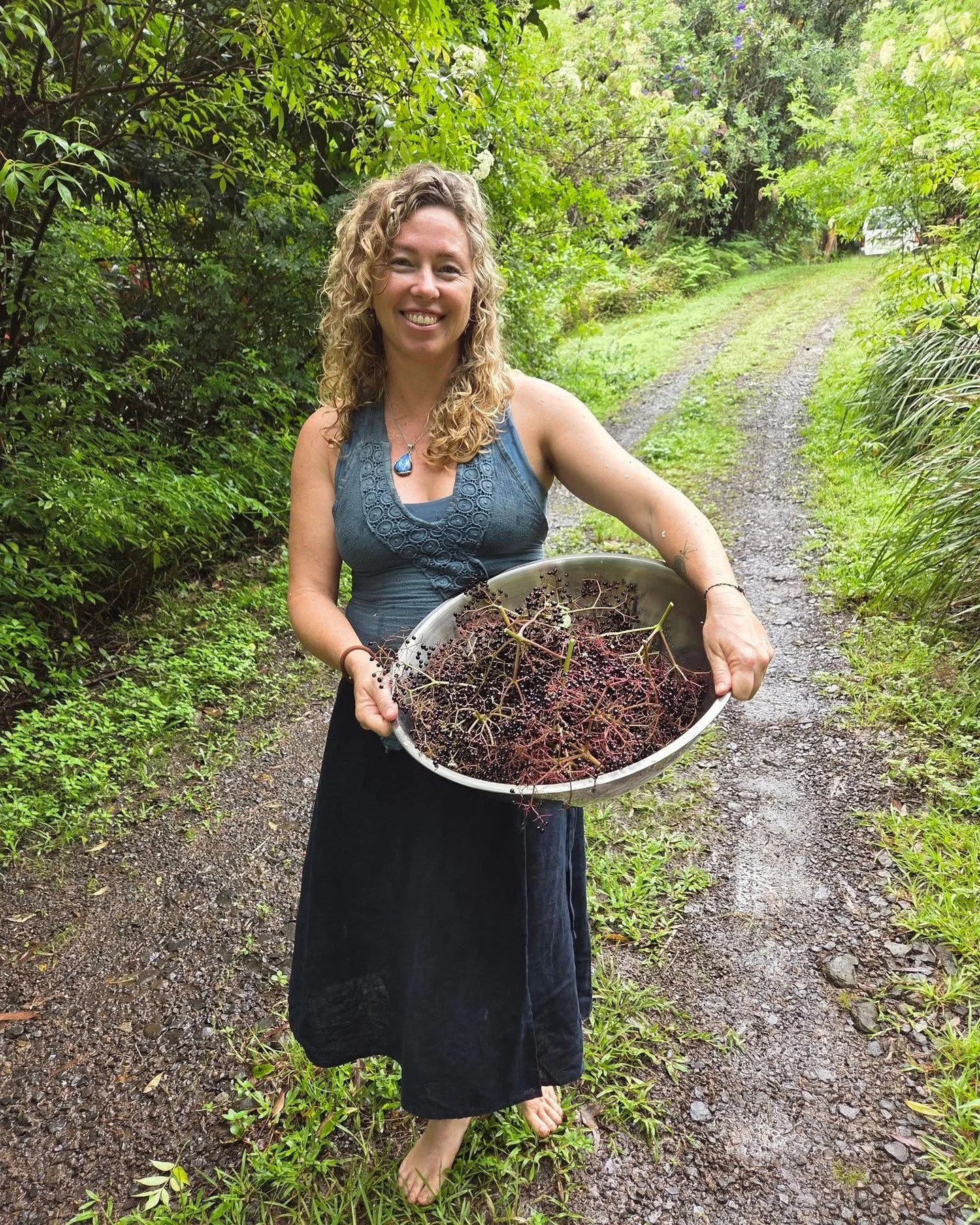 🌿 I am a simpler 🌿
A "simple" is a herb used on its own, rather than as part of a complex compound mixture. A simpler dispenses and works with single plants at a time.
Modern medicine seeks isolation and complication in equal parts. Moder