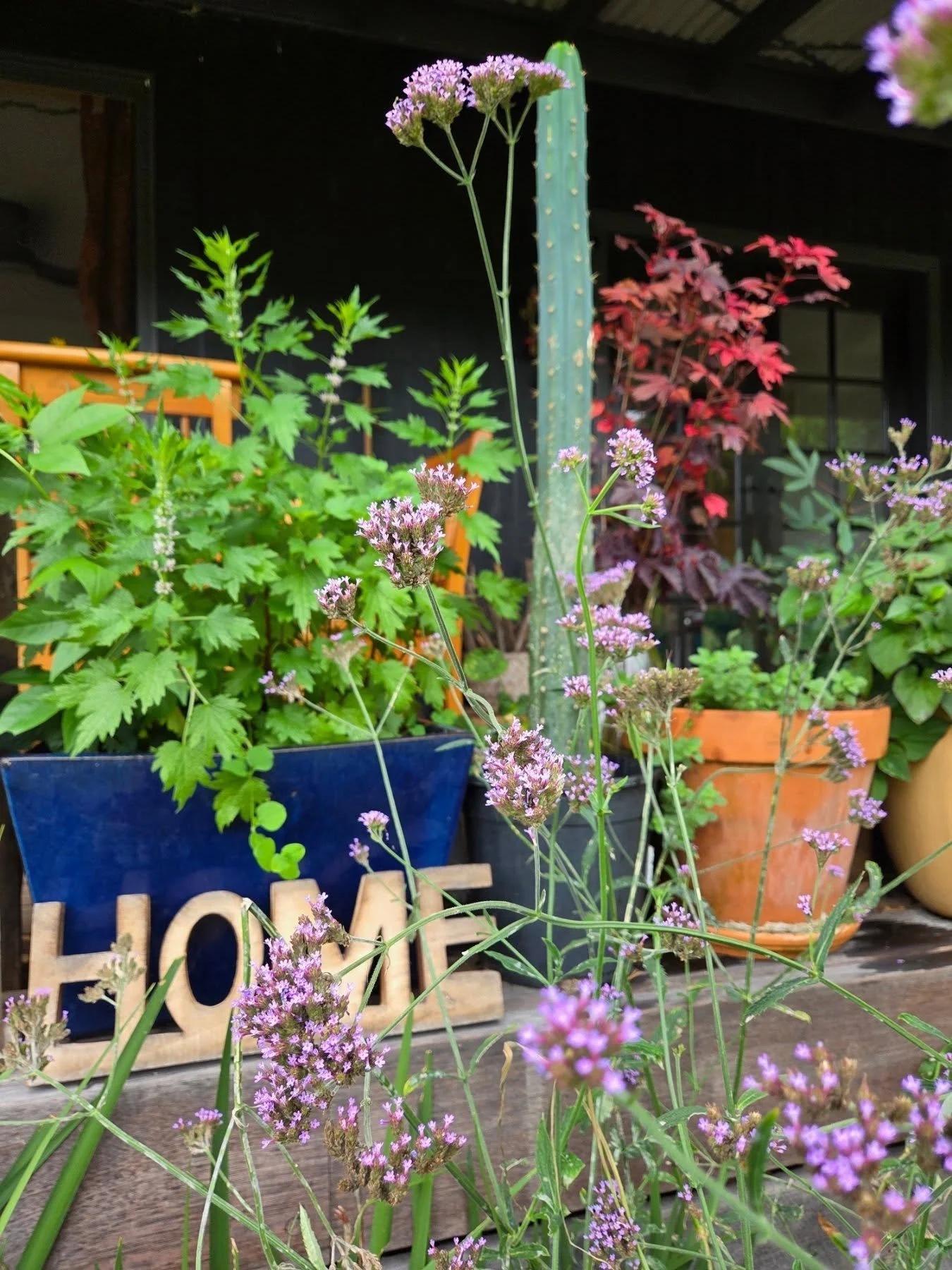 Hearth Herbalism is officially booked out, though we do have a waitlist so get in touch if you would like to be on the waitlist:
info@alchemillaherbals.com.au

Only two and a half weeks to go!  For those of you who are booked in, please check your em