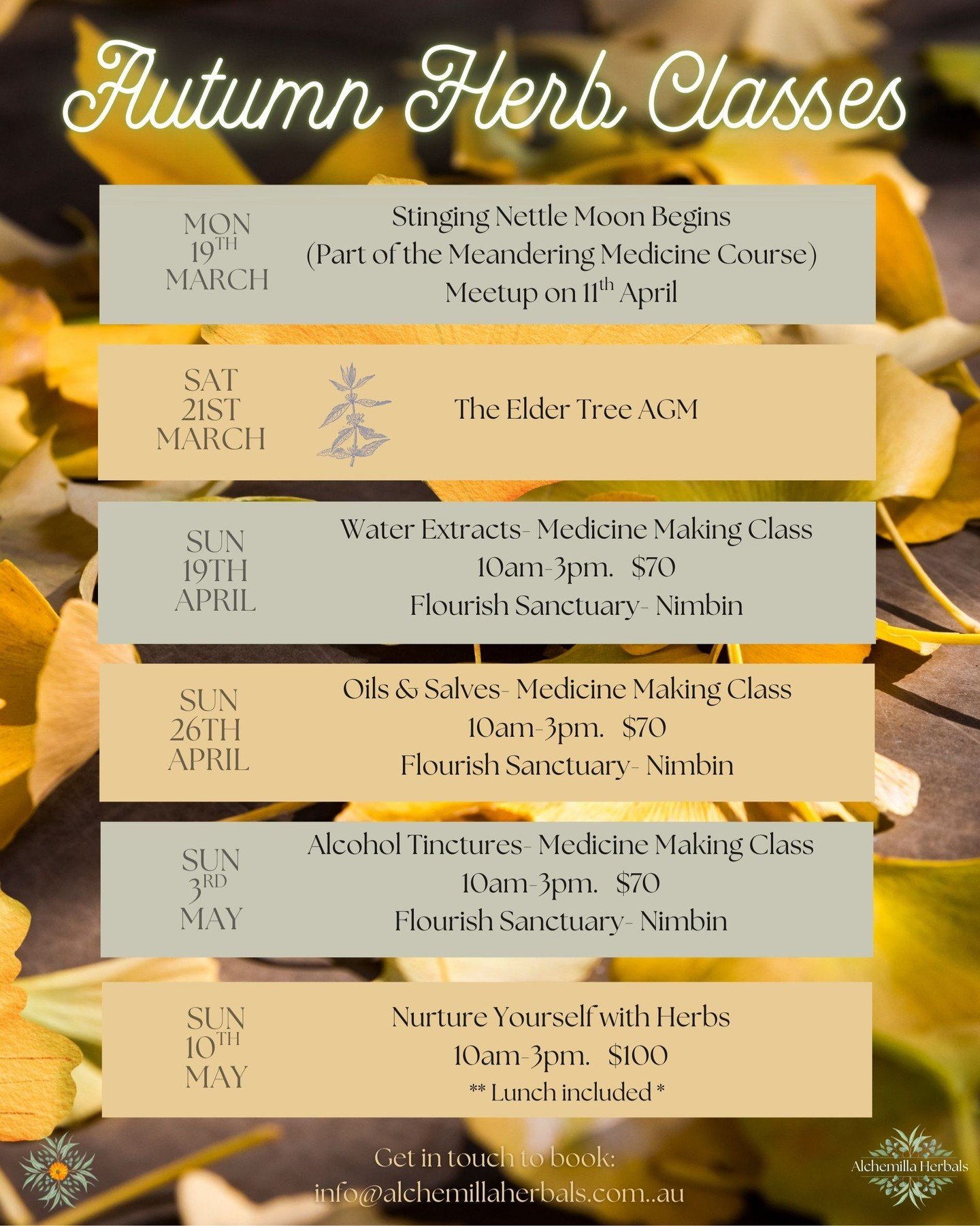 🍂 Autumn Herbal Events 🍂
Some great herbal classes, courses and events over this coming Autumn. Join us for some deeply connected herbal fun!

🍂Stinging Nettle Moon- find out more here:
www.alchemillaherbals.com.au/nettleonline
(link in bio)

🍂 T