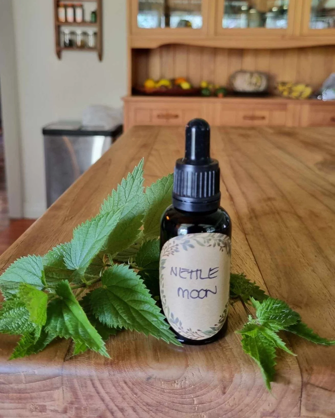 🌿 Enrolments close soon for the Stinging Nettle Moon 🌿 

Join us for a journey with Stinging Nettle through one complete moon cycle, beginning on 29th March (new moon). 

Deepen your connection to this powerful Nettle and learn practical knowledge 