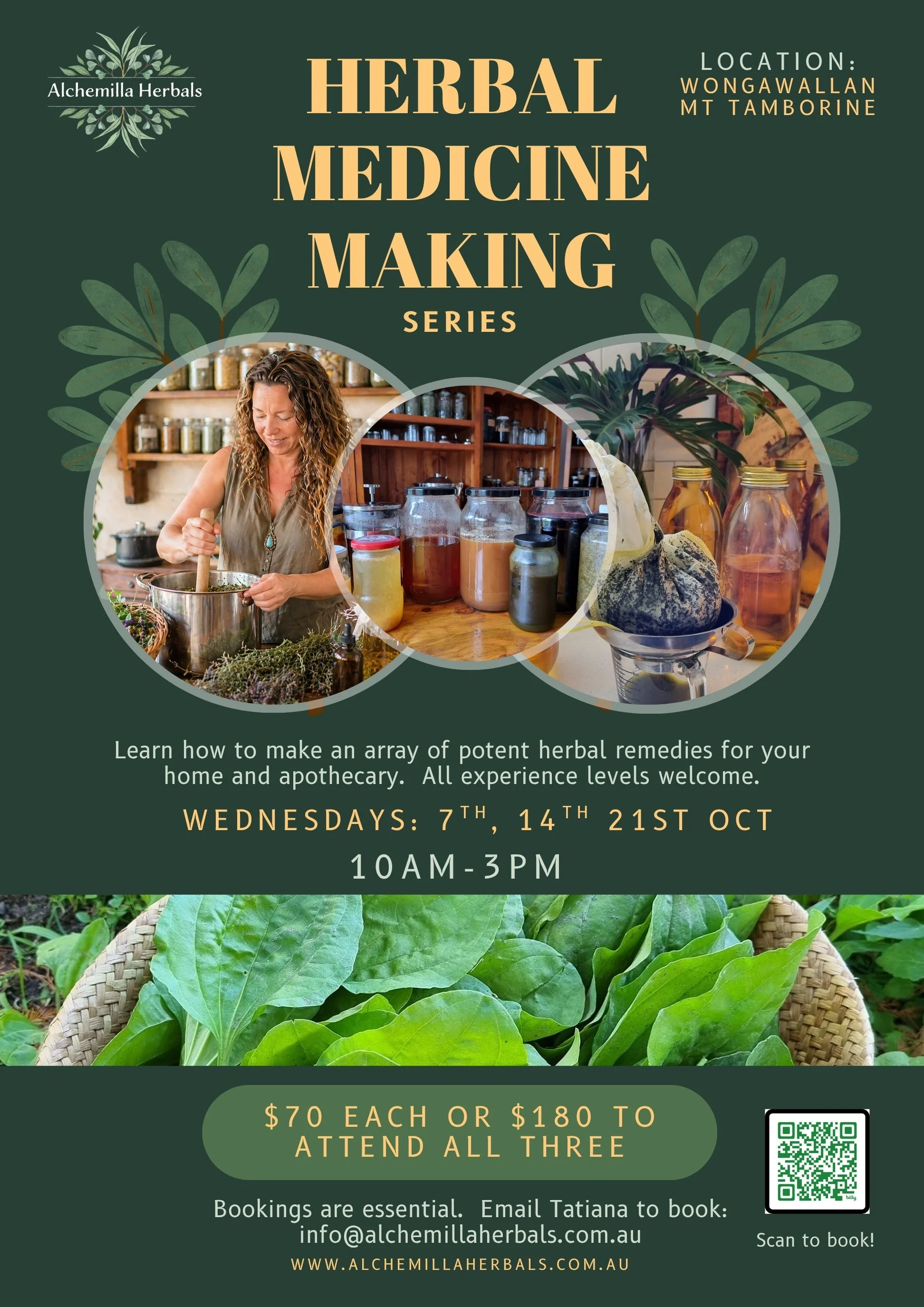 2026 Herbal Medicine Making Series.jpg