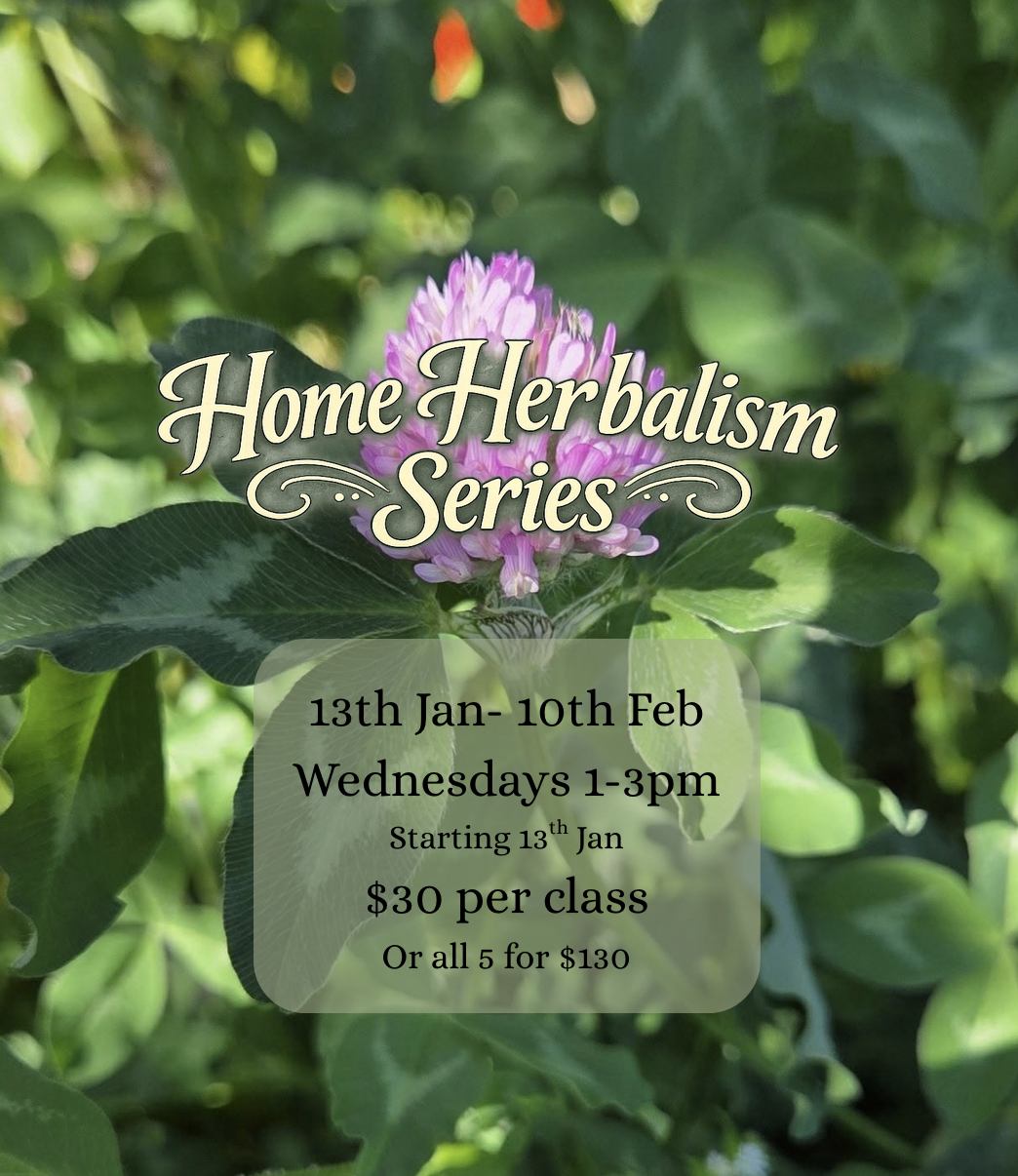 Home Herbalism Series