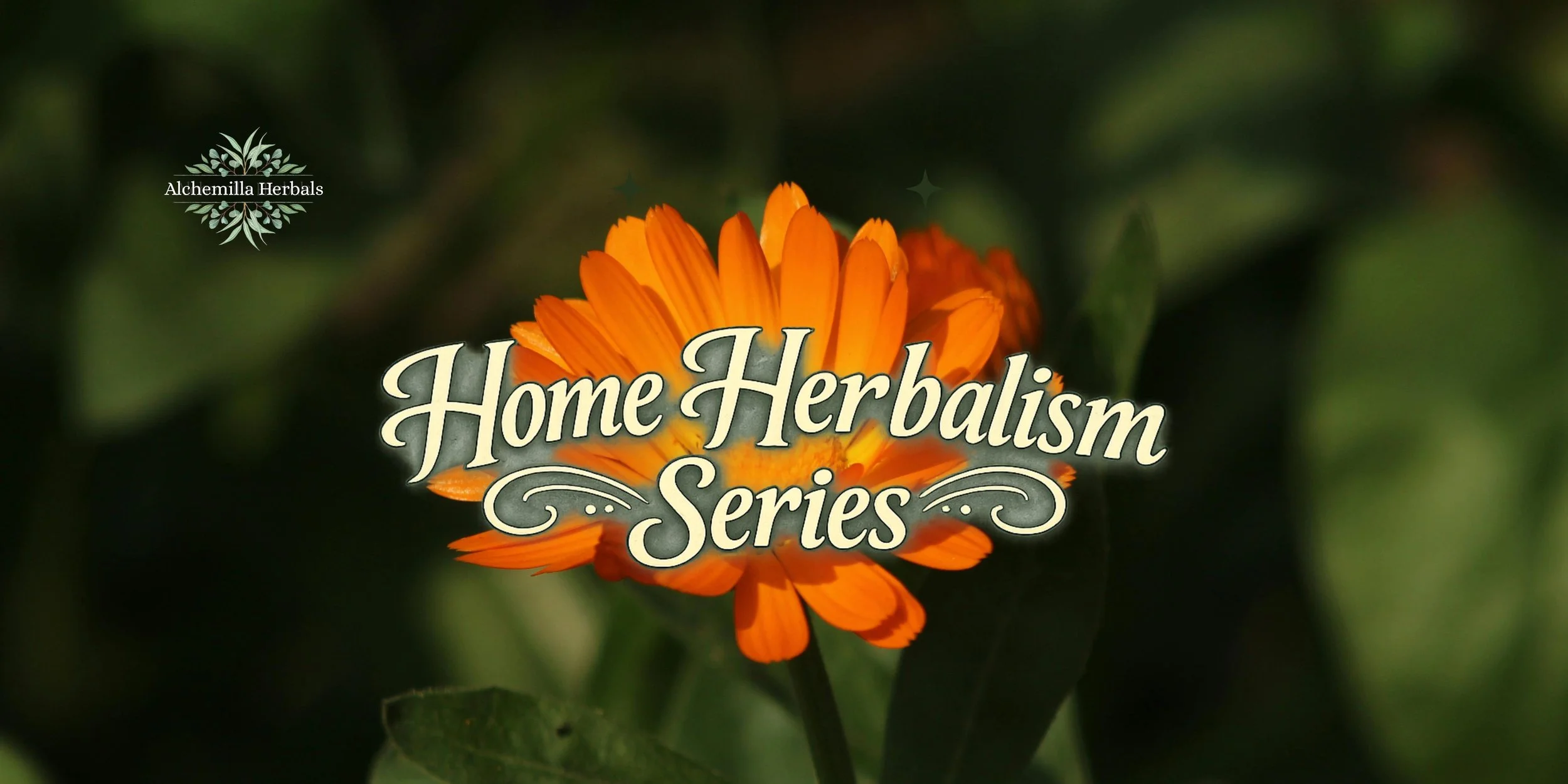 Home Herbalism Series