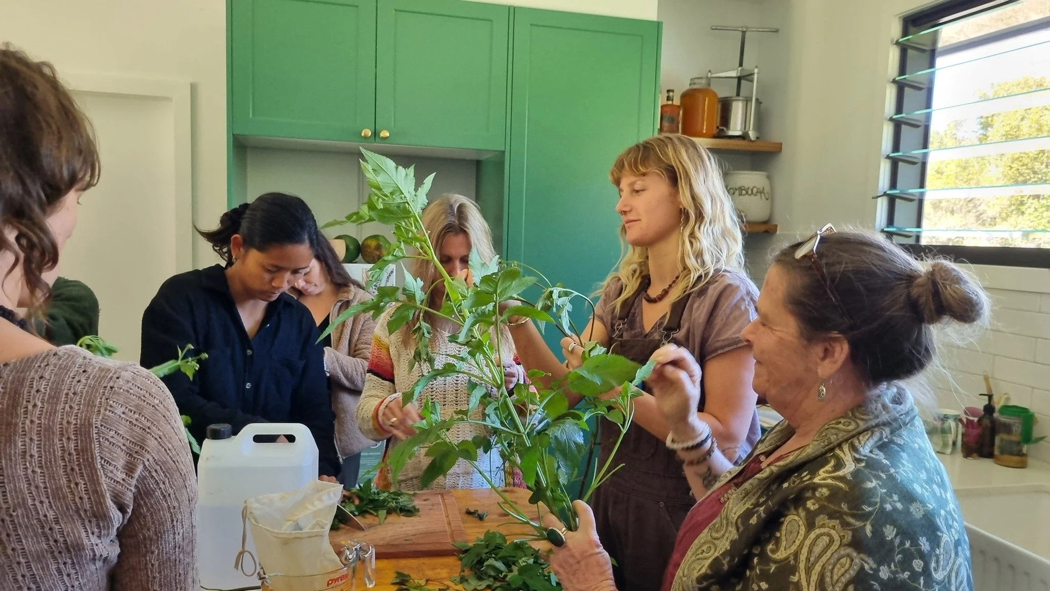 Alcohol Extracts (tinctures) - May 3rd - Nimbin