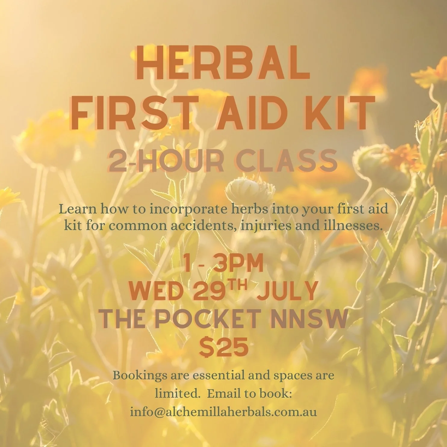 Herbal first aid kit(1).jpg