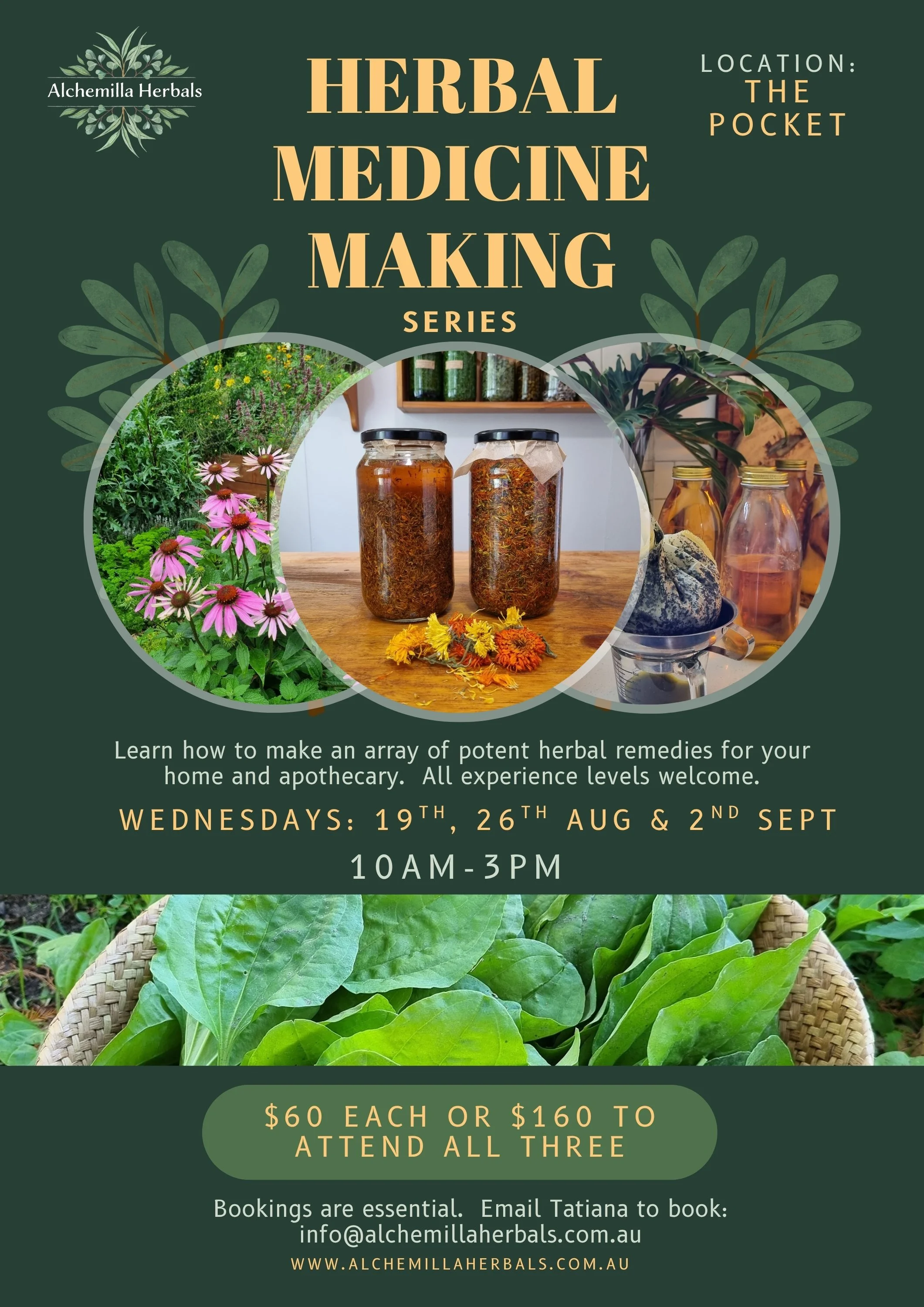 Winter 2026 Herbal Medicine Making Series(1).jpg