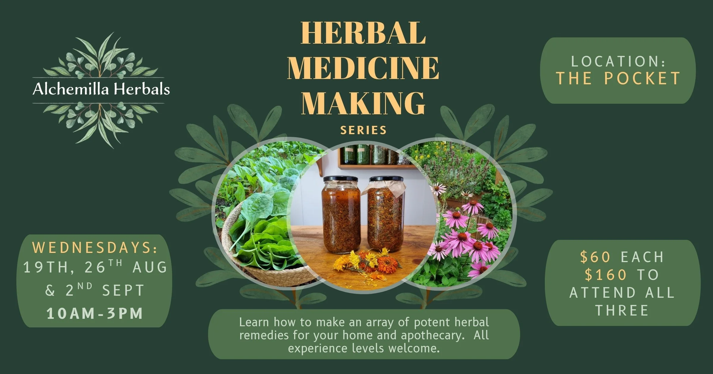 Herbal Medicine Making Series NNSW (all three classes)