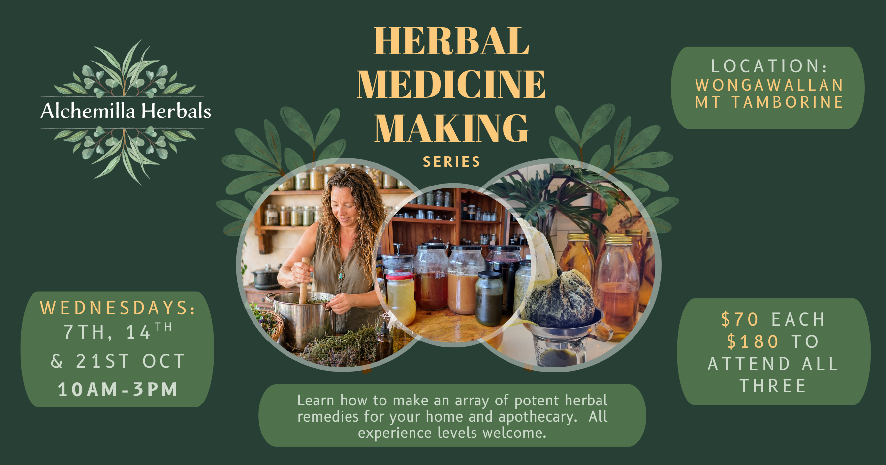 Herbal Medicine Making Series- October SEQ (all three classes)