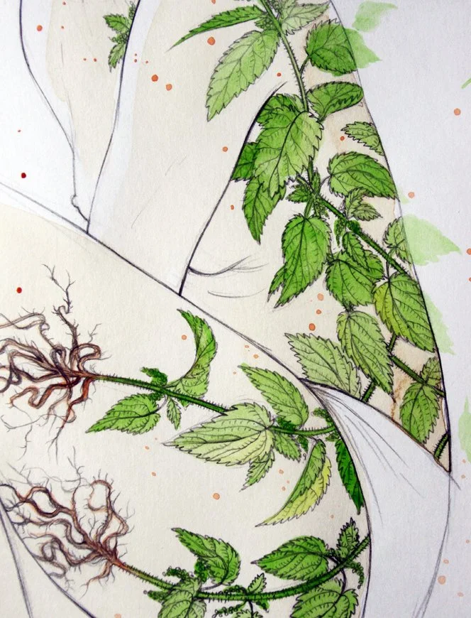 Illustration of a medicinal cannabis plant with green leaves, roots, and stem.