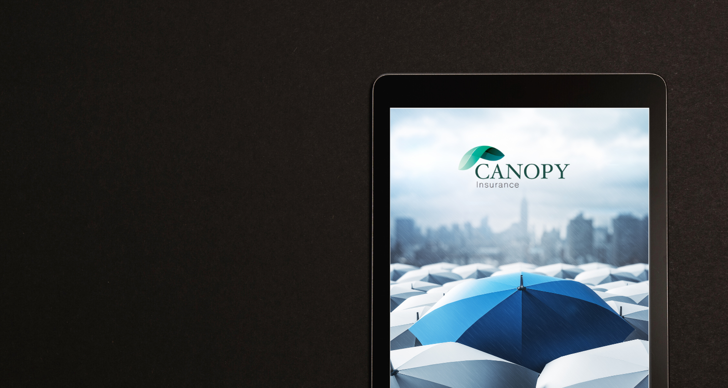 Insurance Canopy Examples Canopy Insurance
