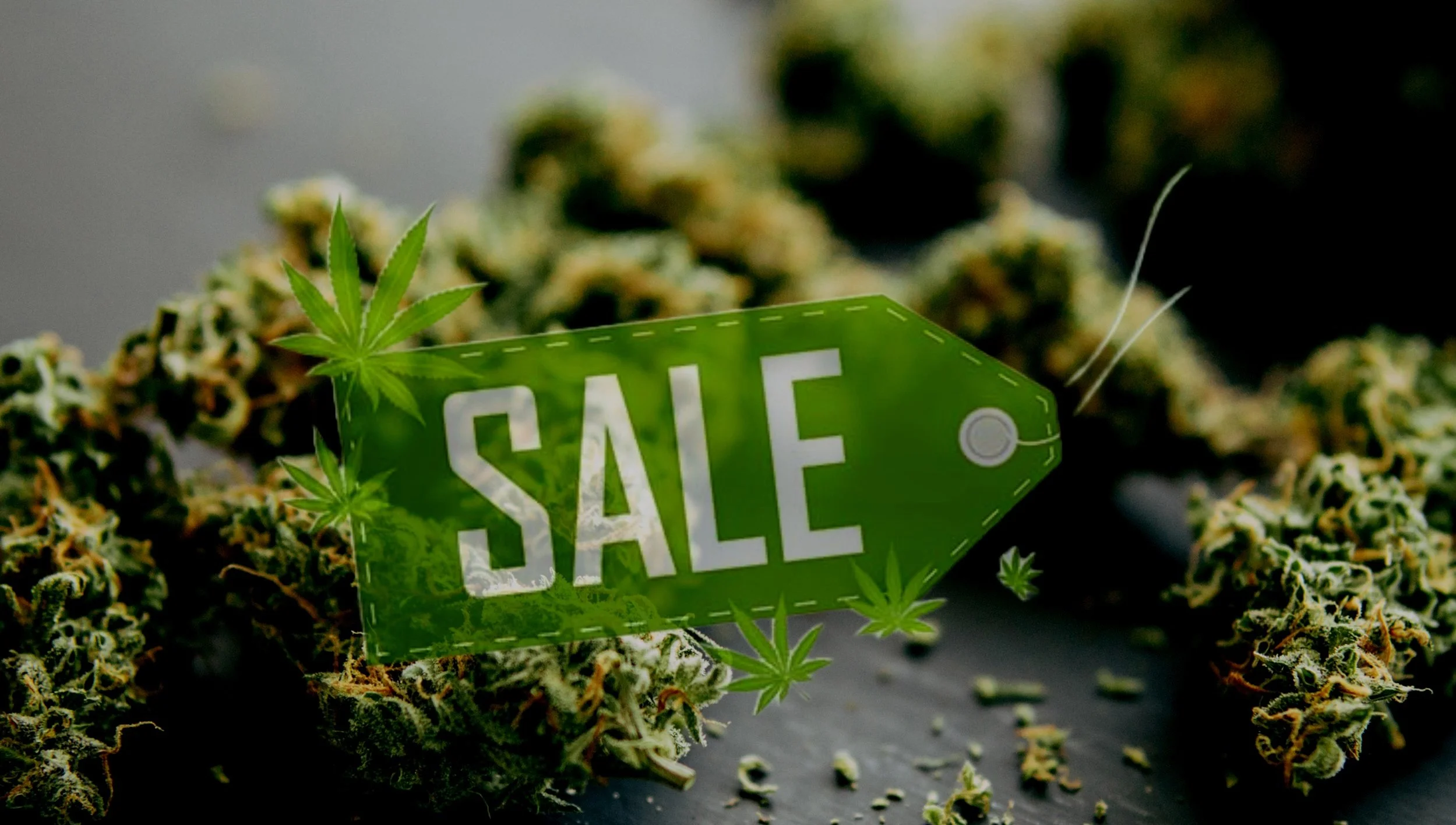 Grateful Living Cannabis Dispensary in Silver City, NM