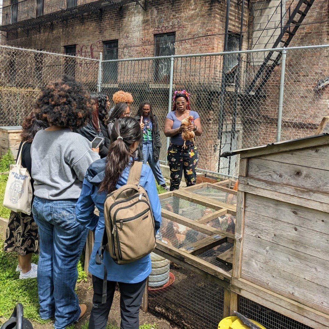 Happy Earth Day! 🌍 🌱 💚  This past weekend, our ELLA Fellows went to Black Joy Farm @blackfeministproject to learn more about the radical food-growing green space in the South Bronx from @tanyadenisefields . 🪴 🥬  We are reminded of the importance