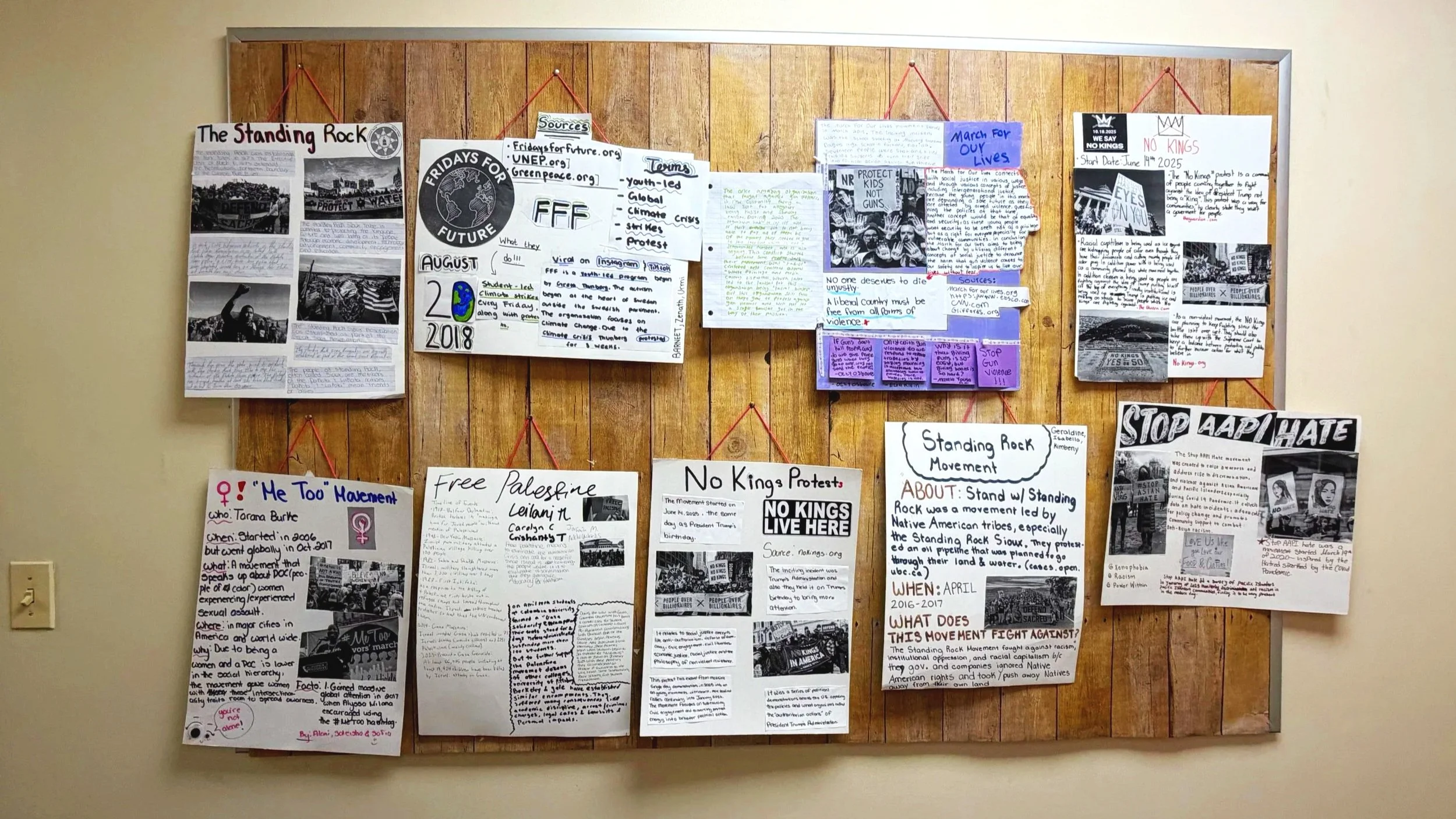 Social Justice in Action Projects