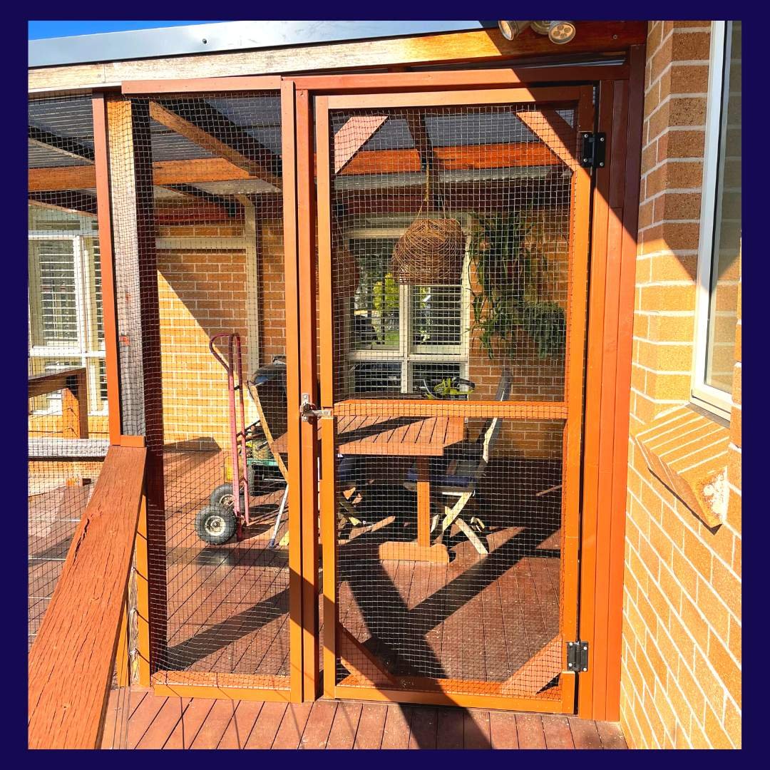 Squarepegs Handyman 9 Reasons Your Cat Needs A Catio (4).jpg