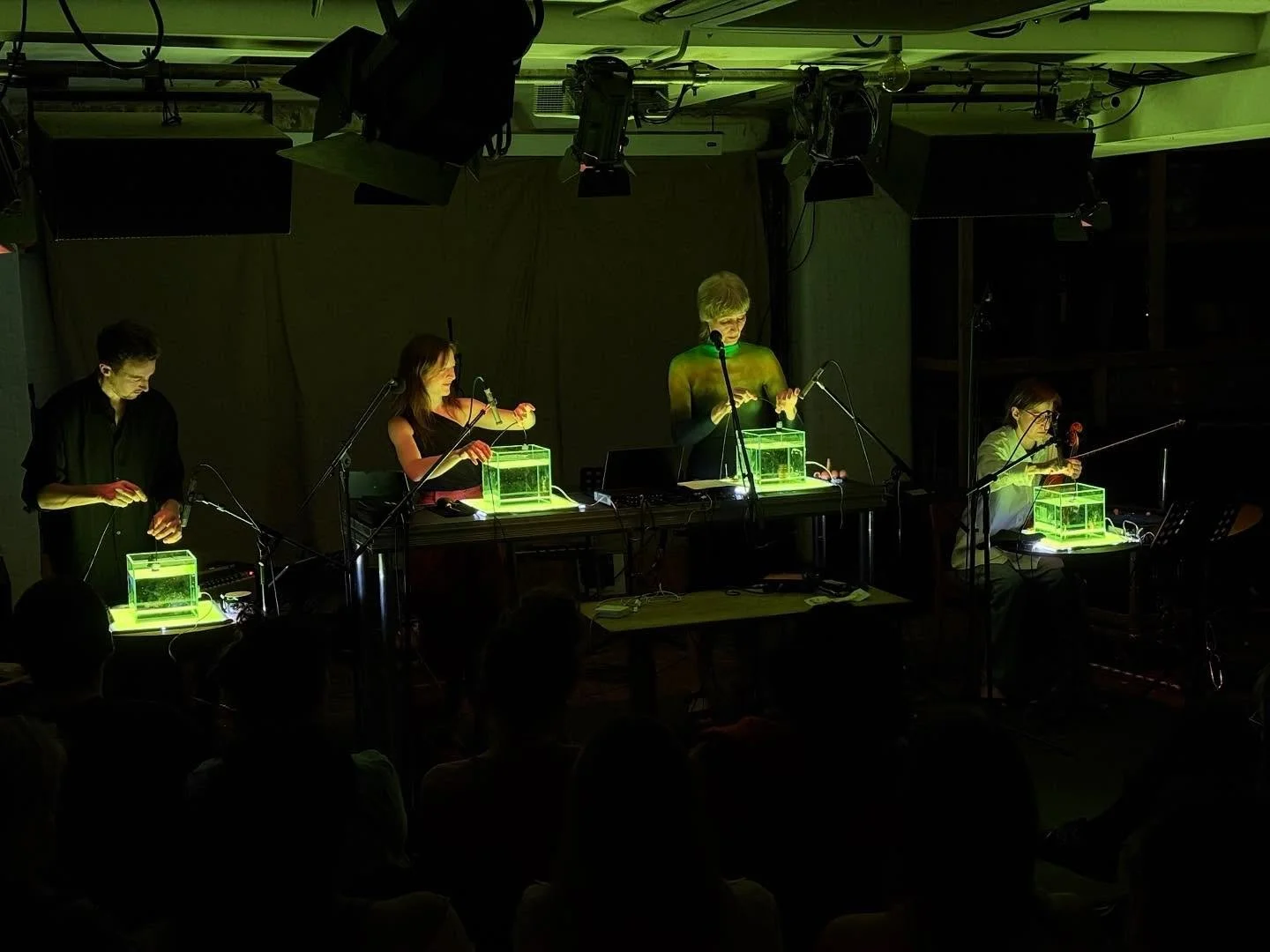 Two years in the making. The Crossroads of Evolutions… WE DID IT! 
As we slowly recover from a week of all-out intensity, time flourishes fond memories of a wonderfully unique period of collaboration, music making, and hang outs. 
It was not