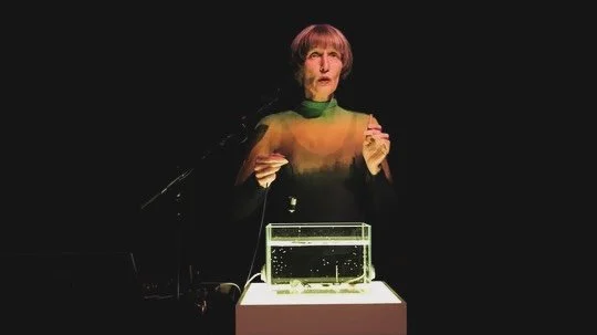July 5th. 1st set:
Ute Wassermann and Distractfold perform plankton:ensemble (2025).
A new work developed in co-creation with voice artist and composer, Ute Wassermann, plankton:ensemble explores how water acts as an acoustic filter for field recor