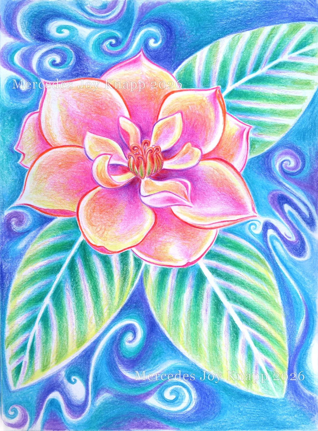 Southern Magnolia // colored pencil on 6"x8" paper