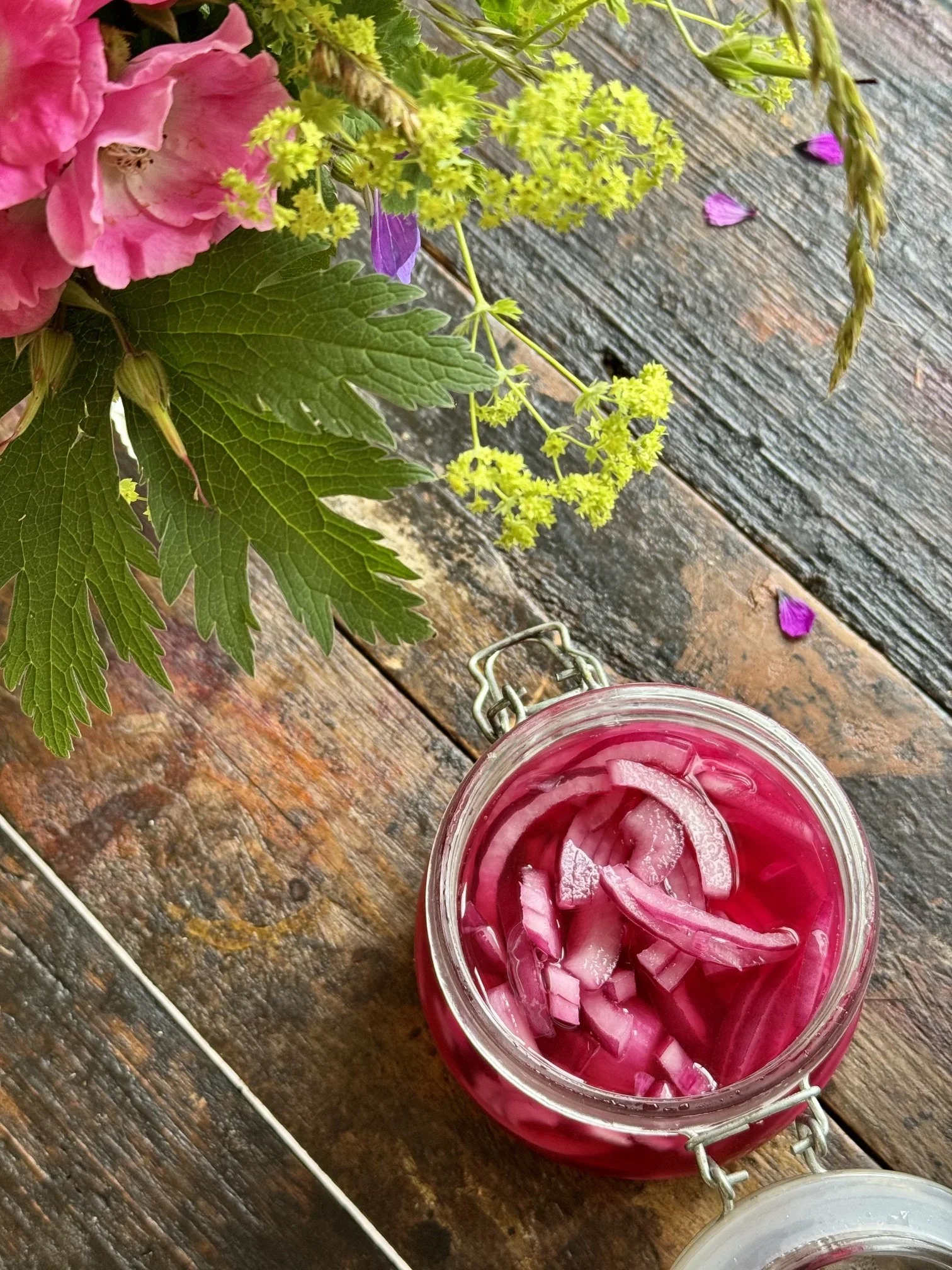 Pickled Pink Onions