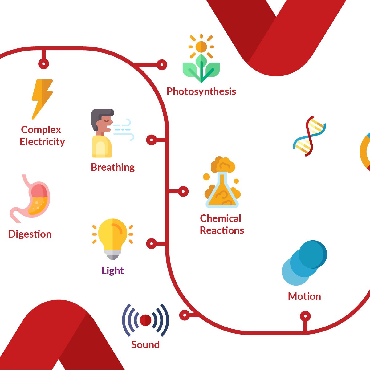 Horbury-Microsite Carousel-Science_3.jpg