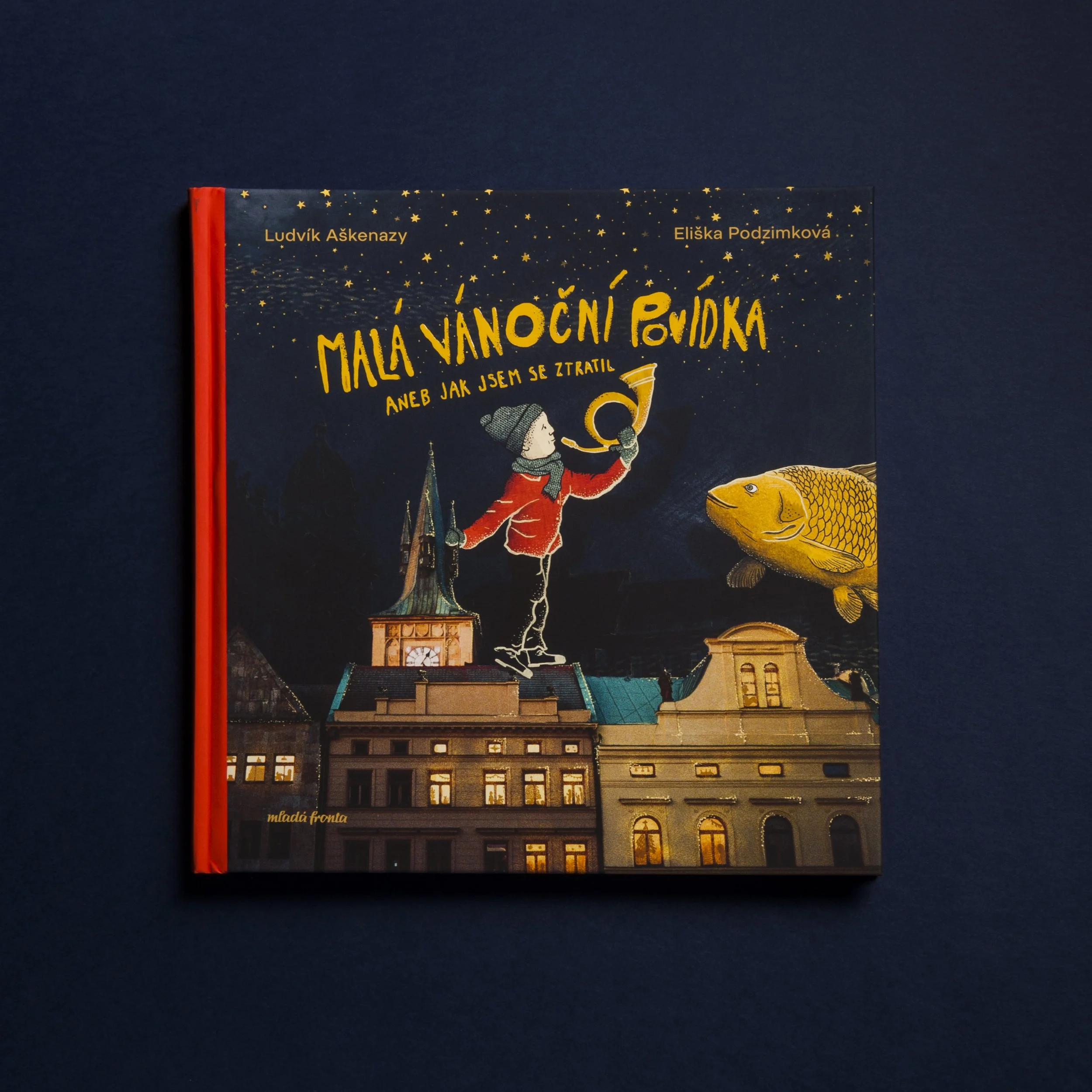 Mala vanocni povidka