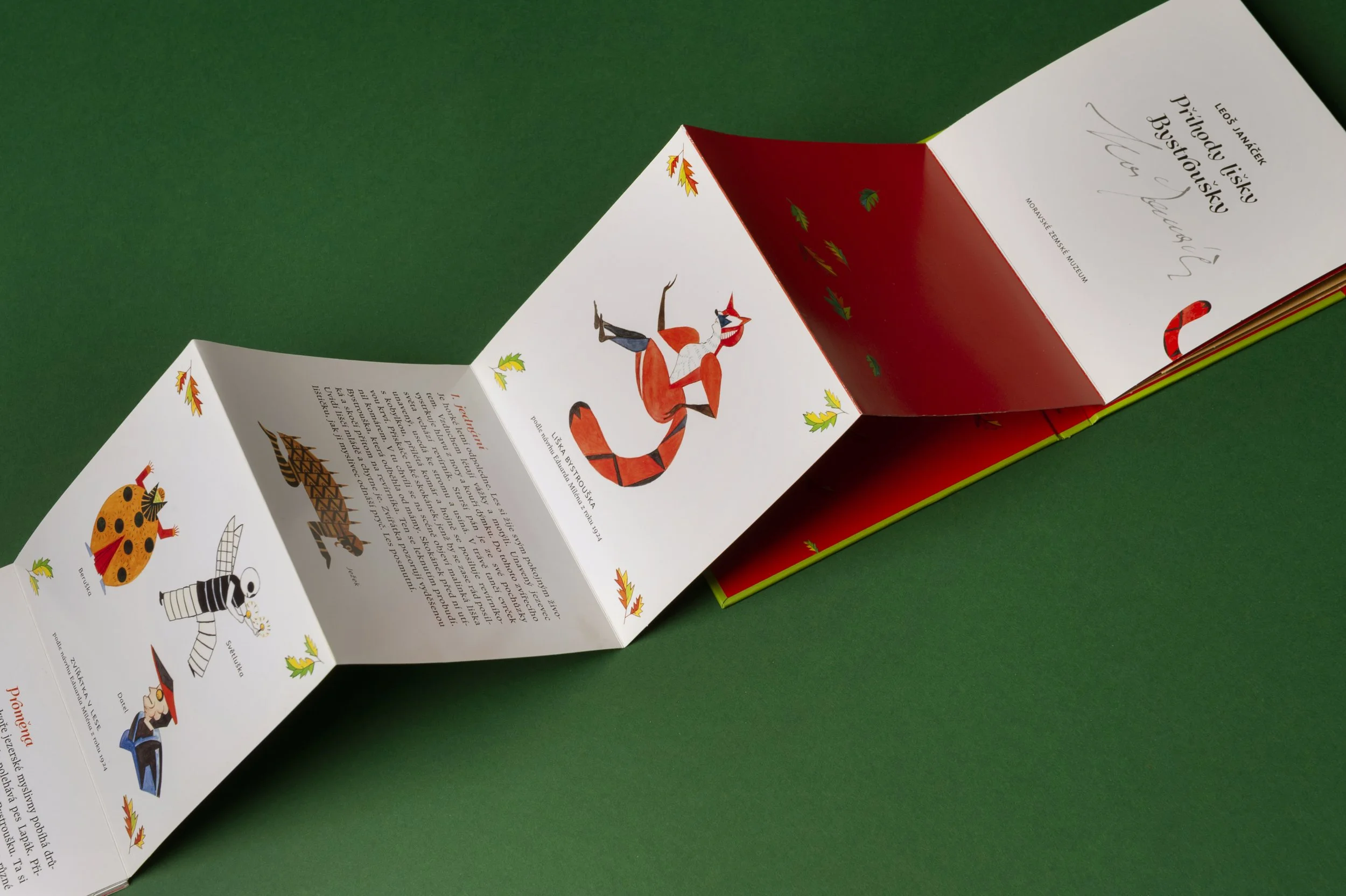 DSC_8589.jpg