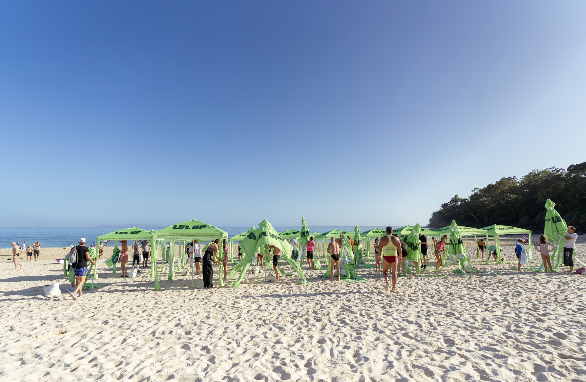 Screenshot 2026-02-02 at 3.59.35 PM.png