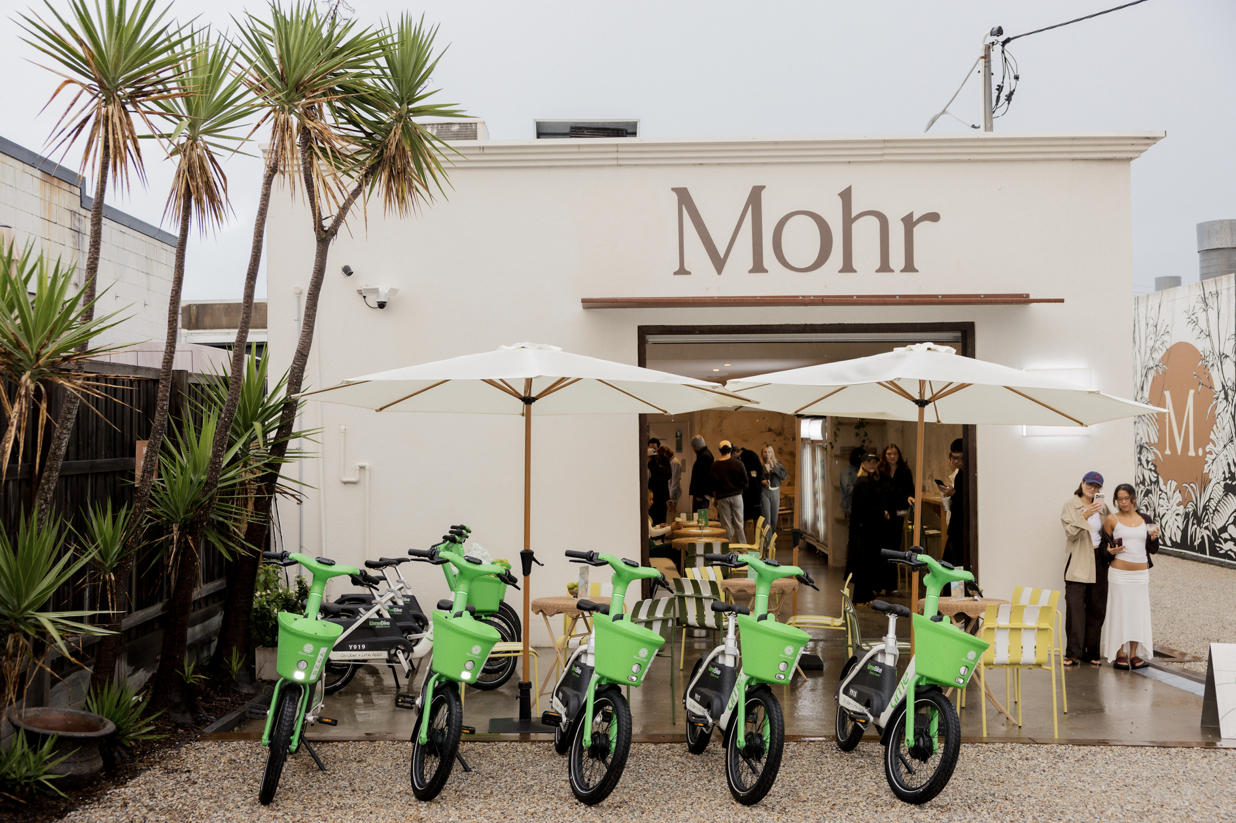 LIME X MOHR TAKEOVER
