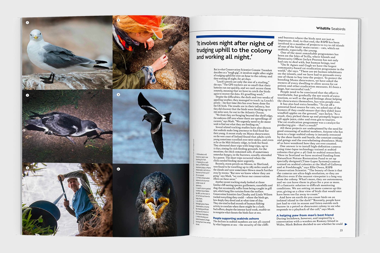 RSPB_Portfolio5.jpg