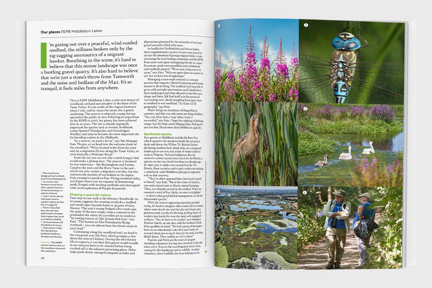RSPB_Portfolio9.jpg