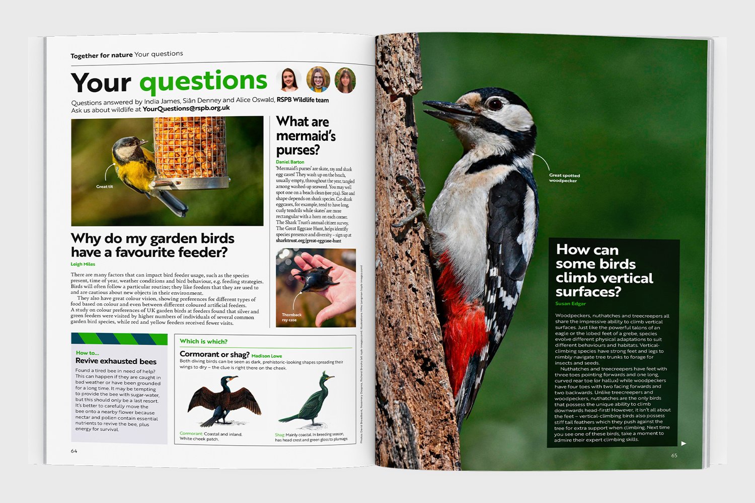 RSPB_Portfolio7.jpg