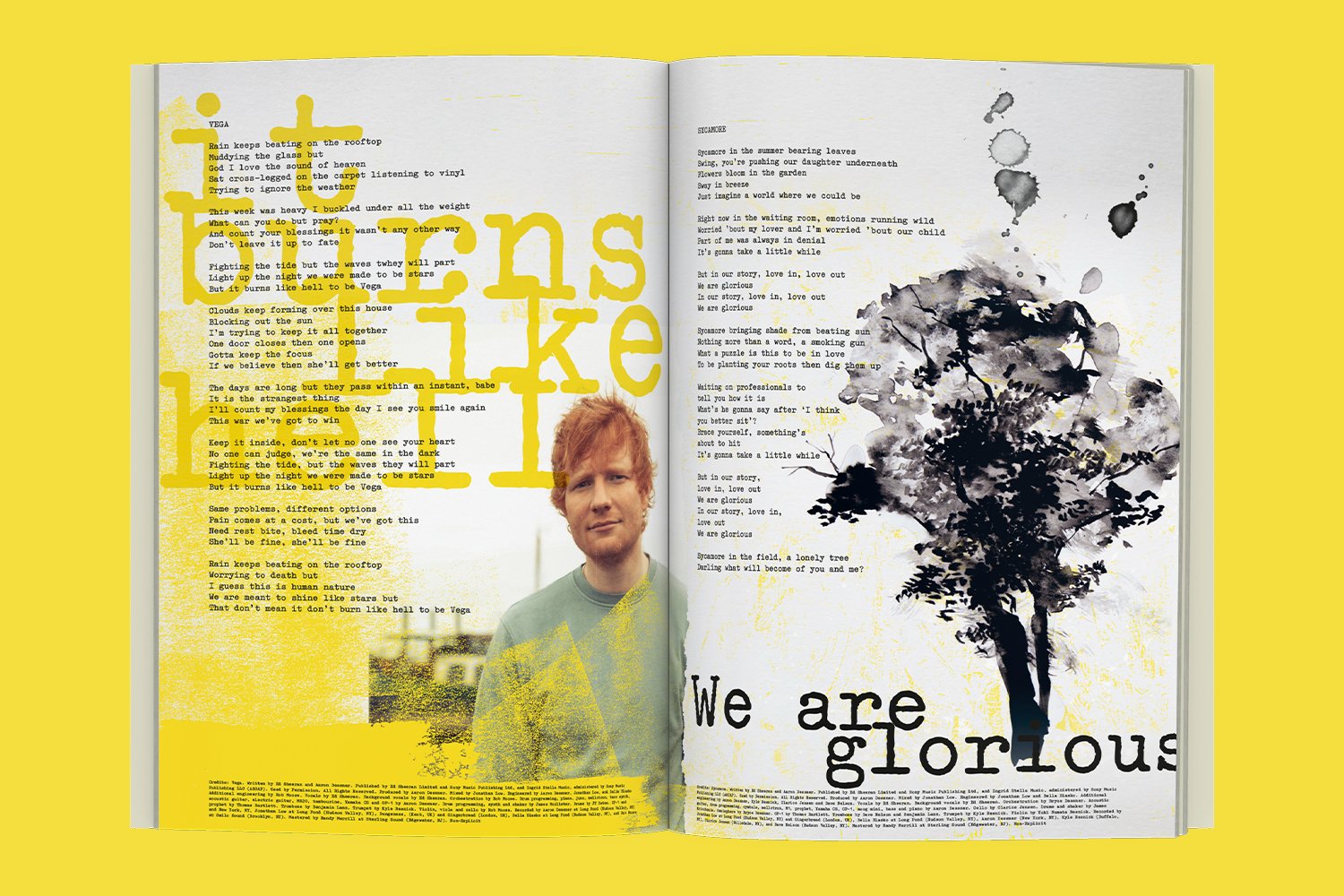 EdSheeran_Portfolio5.jpg