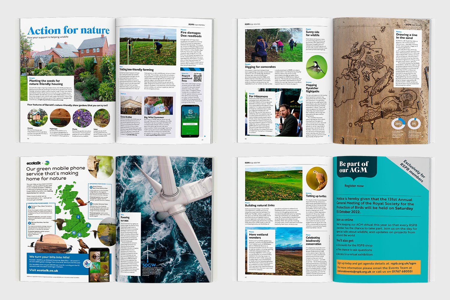 RSPB_Portfolio6.jpg