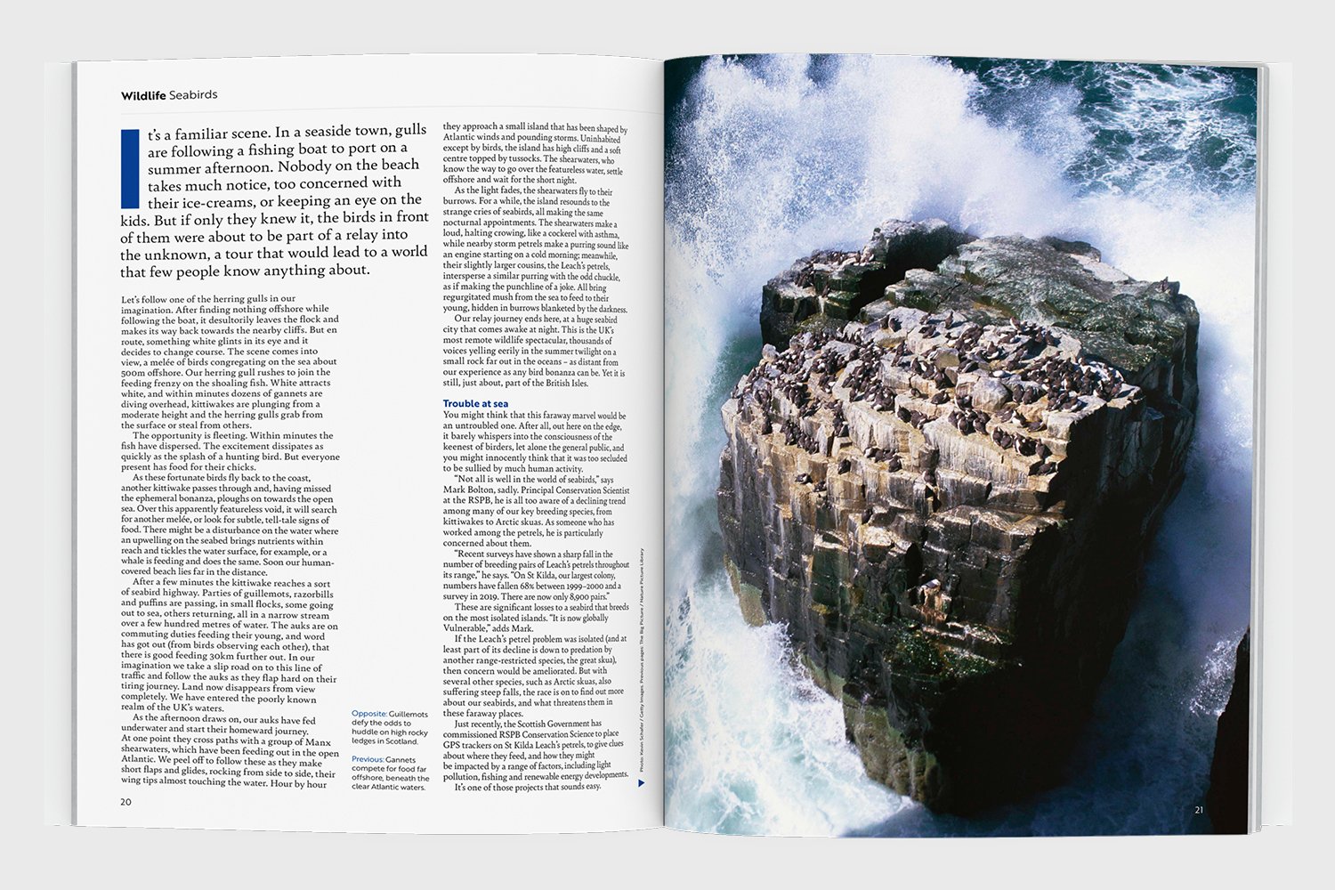 RSPB_Portfolio4.jpg