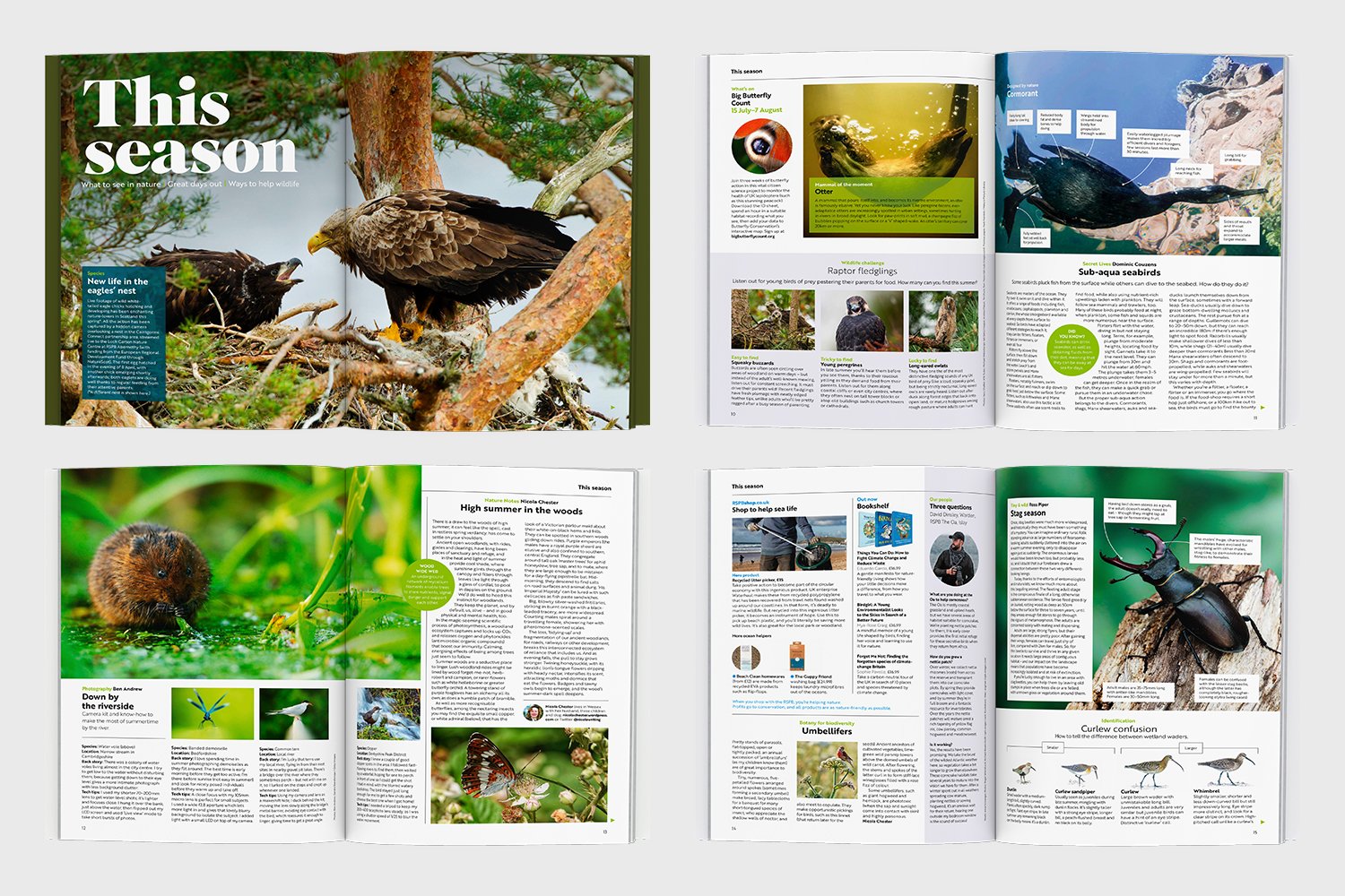 RSPB_Portfolio2.jpg