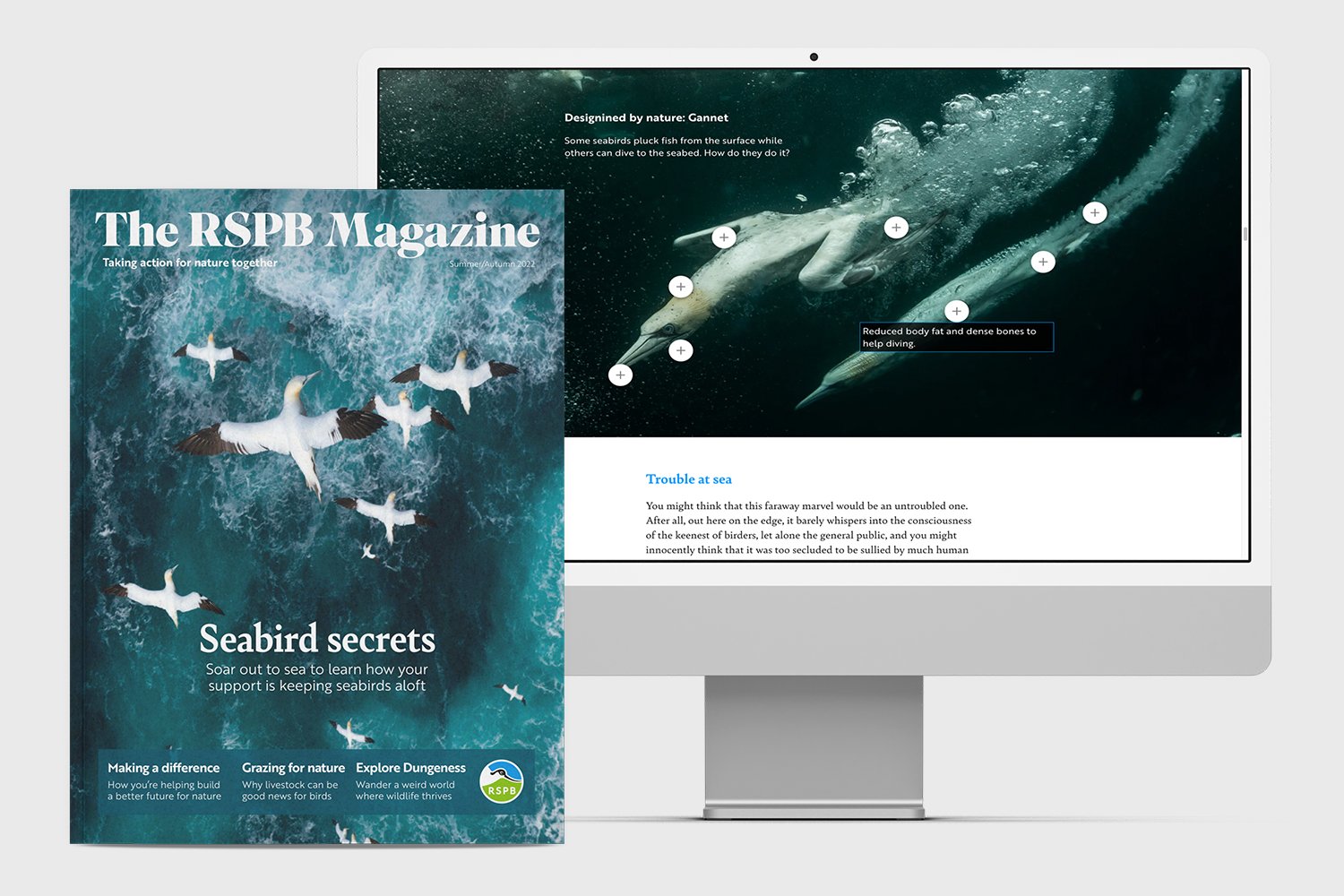 RSPB_Portfolio1.jpg