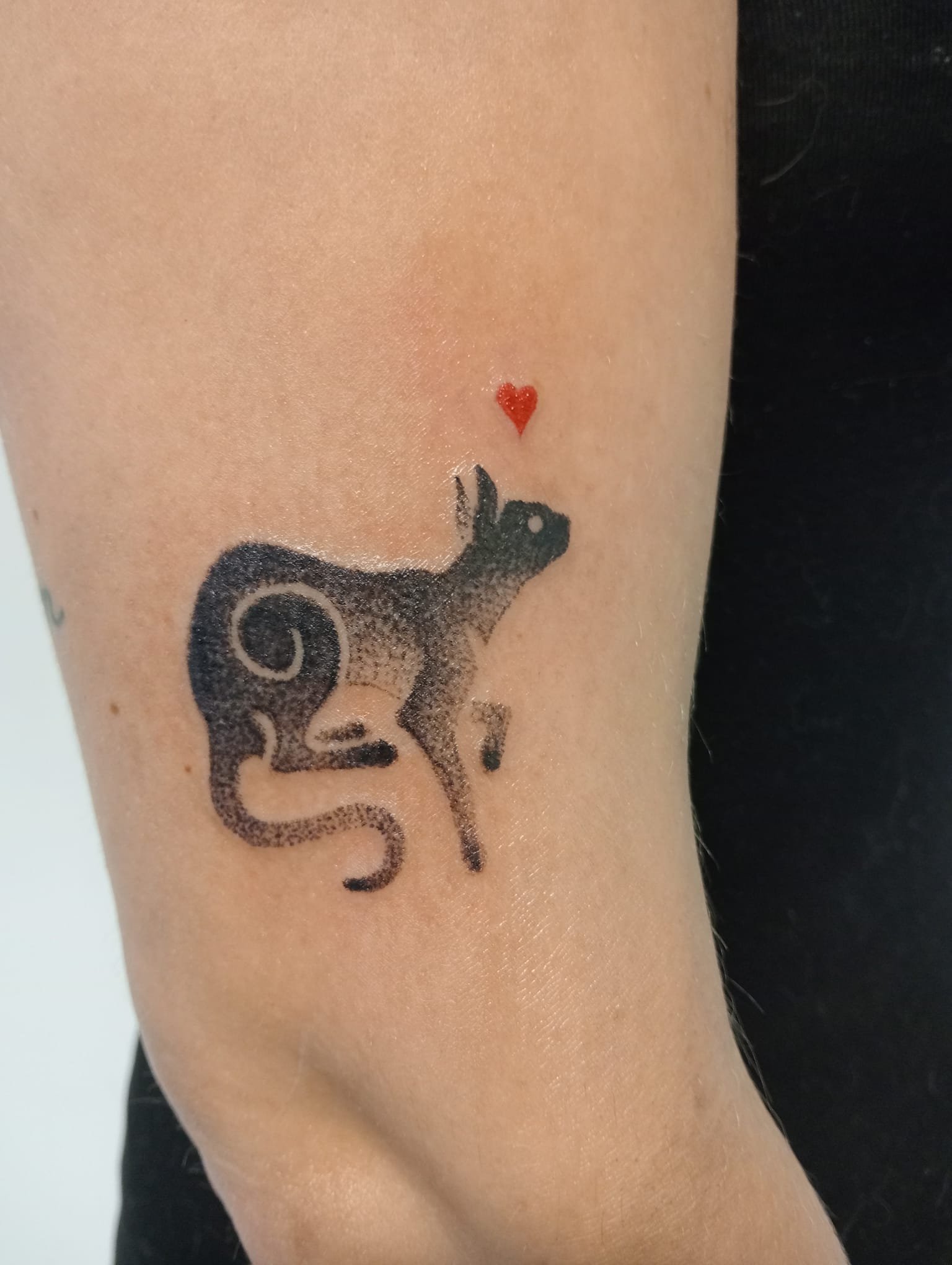 WhatsApp Image 2026-04-16 at 13.10.42.jpeg