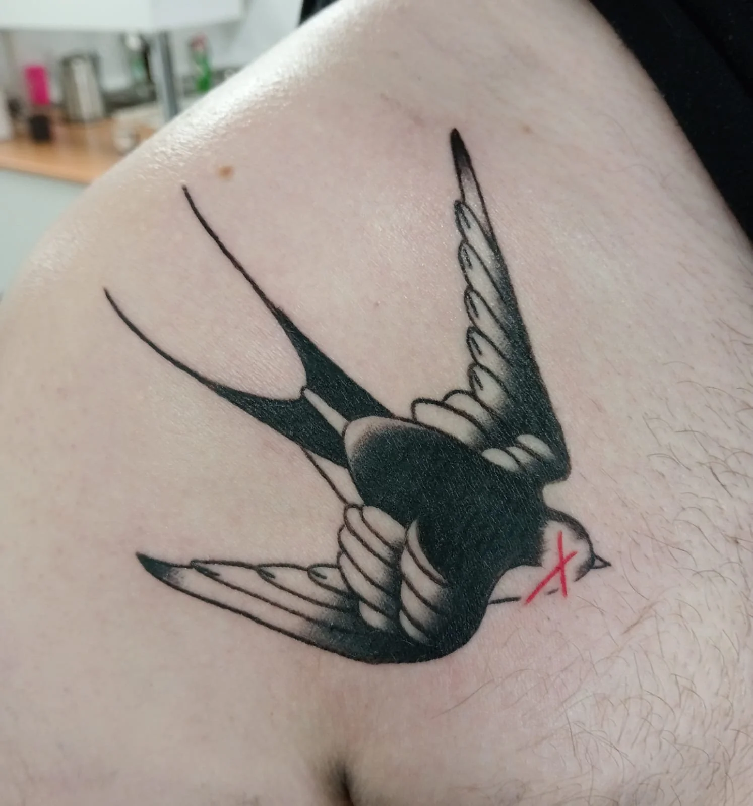 dylan bird.jpeg