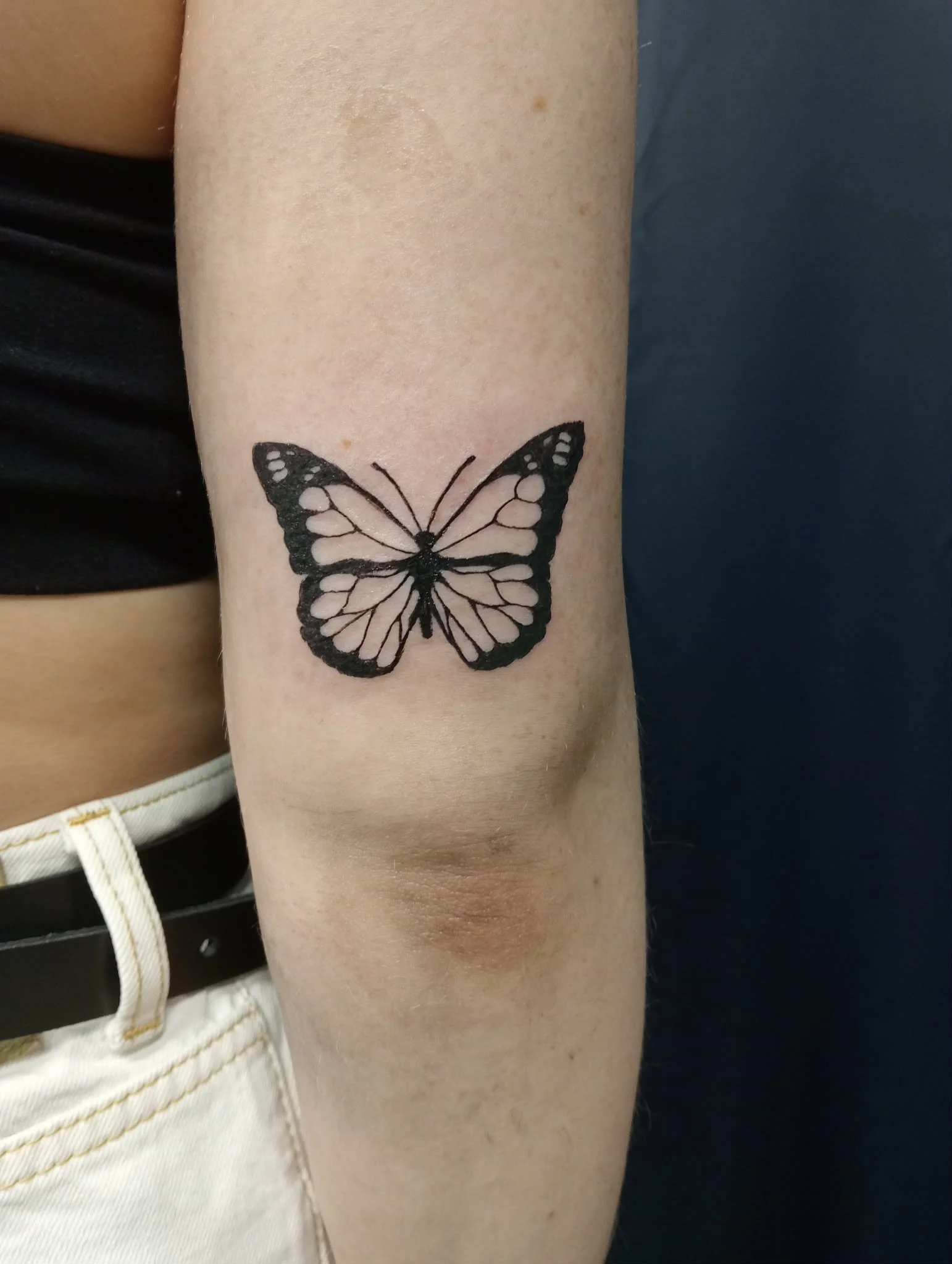 WhatsApp Image 2026-04-16 at 13.24.58.jpeg