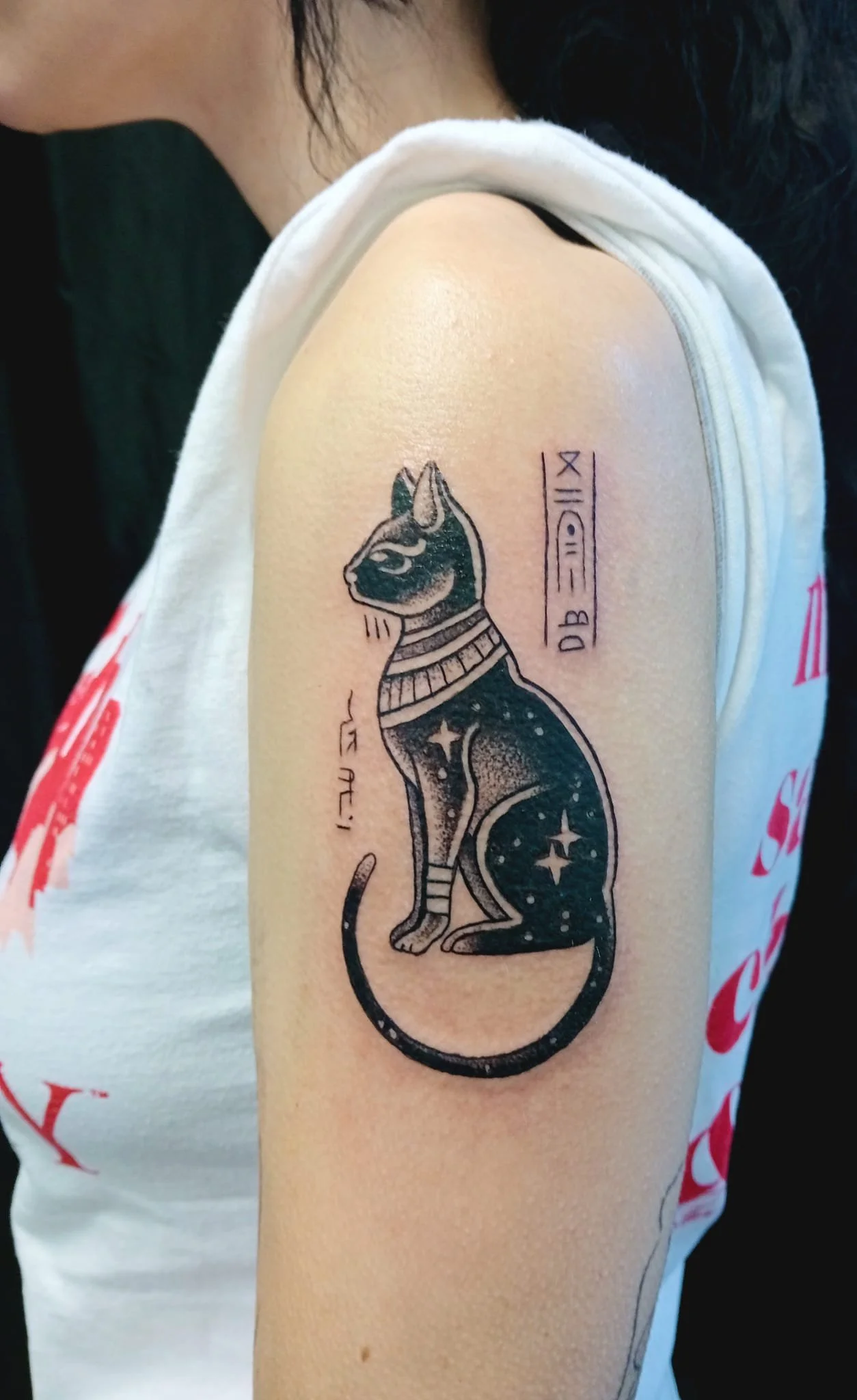 WhatsApp Image 2026-04-16 at 13.11.35.jpeg