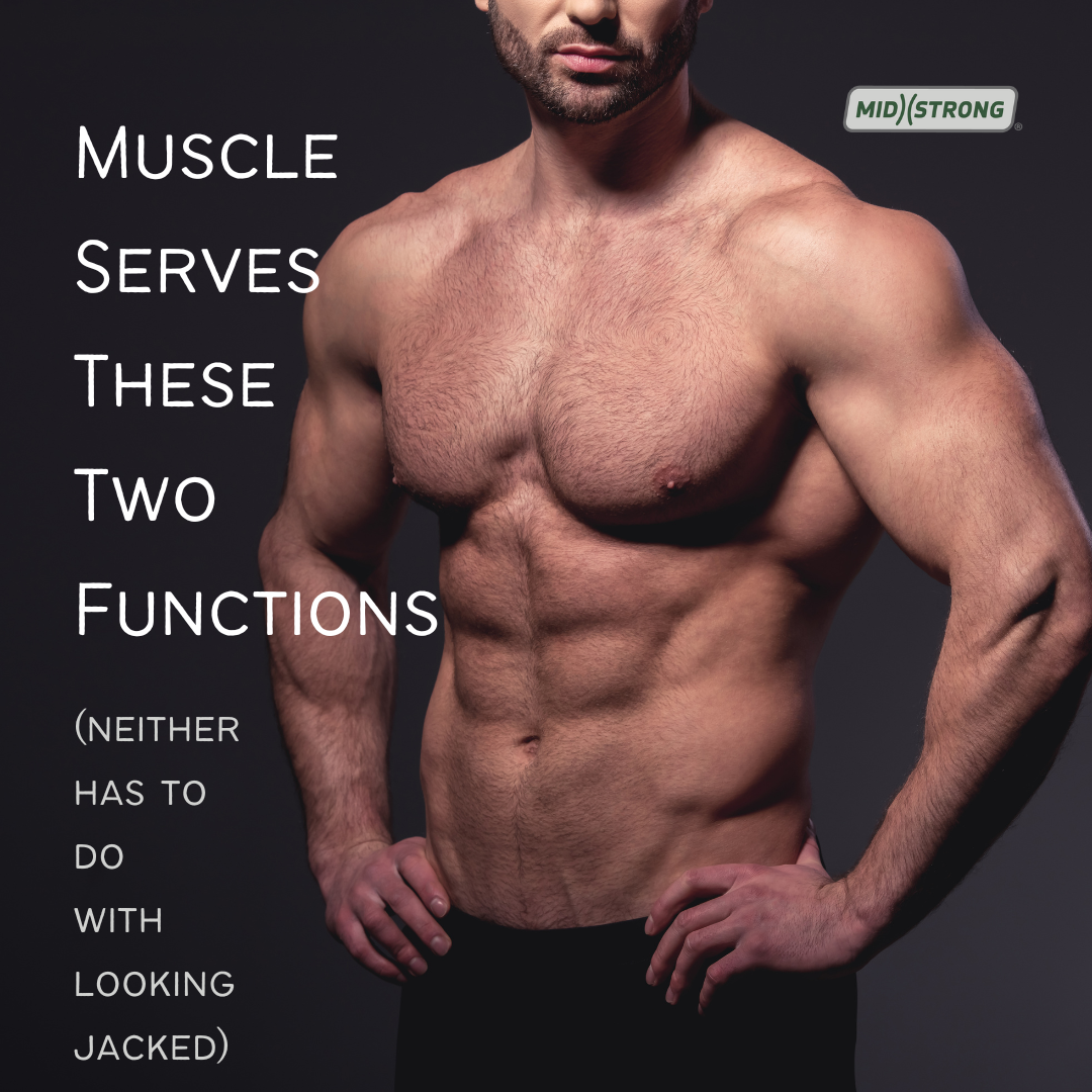 Muscle Serves These Two Functions