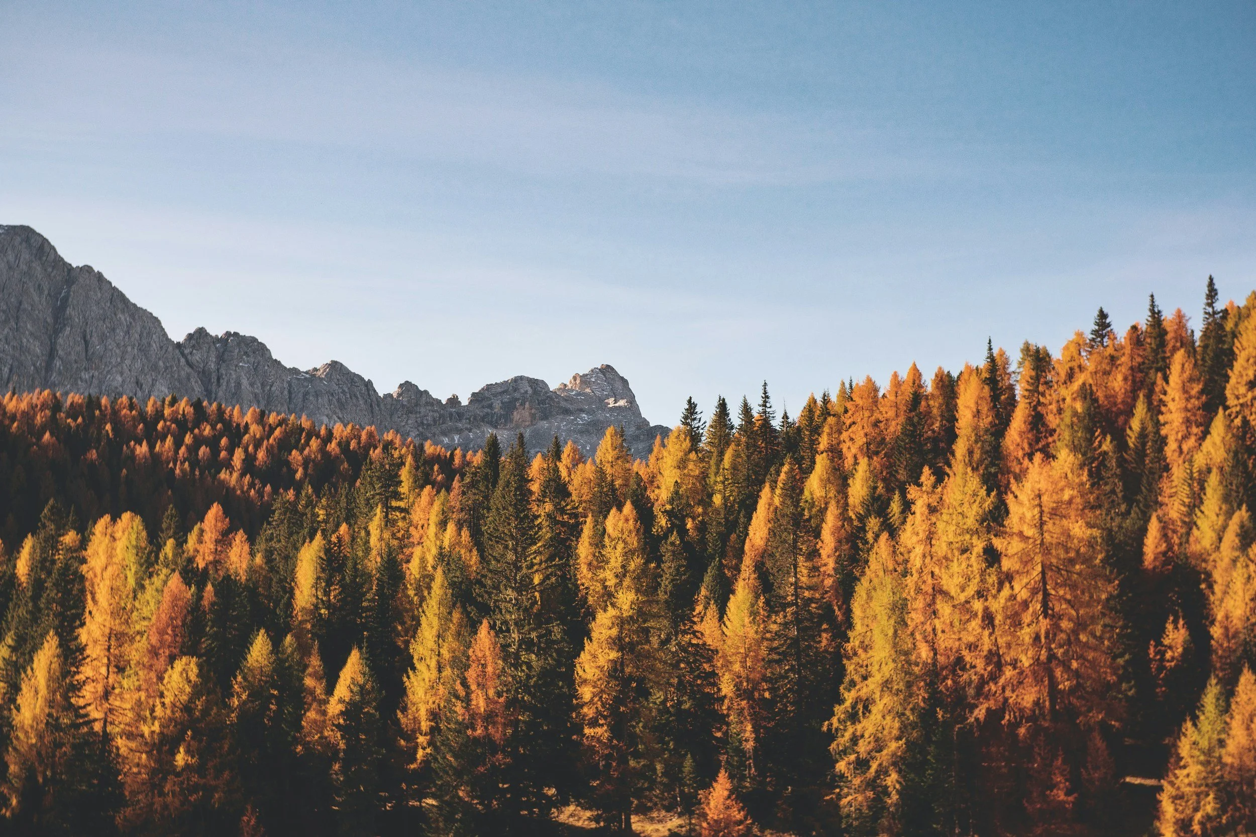 unsplash-image-pF1ug8ysTtY.jpg